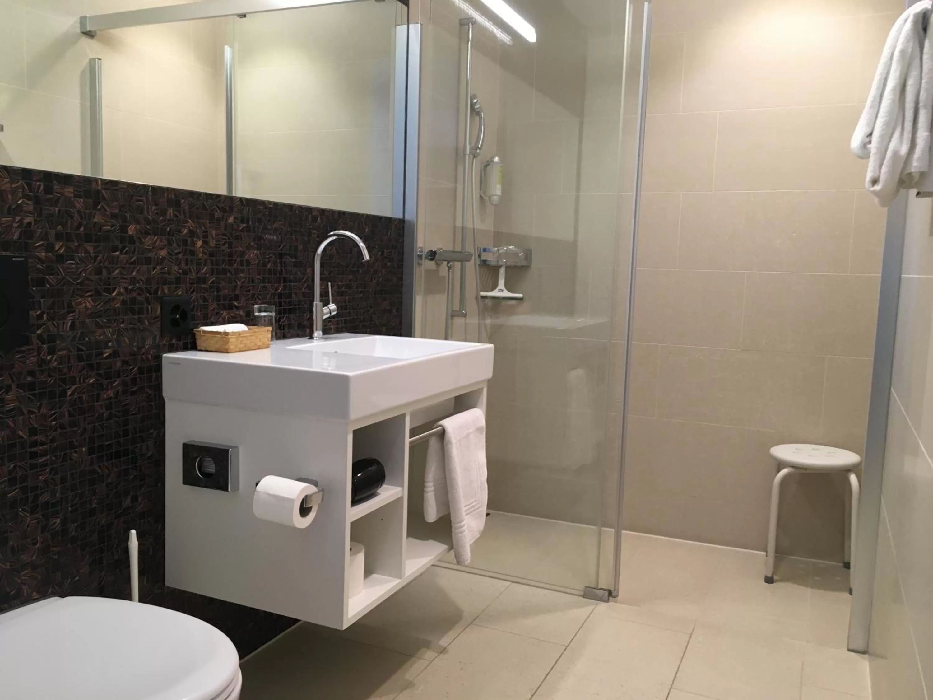 Toilet in Hotel Flawil