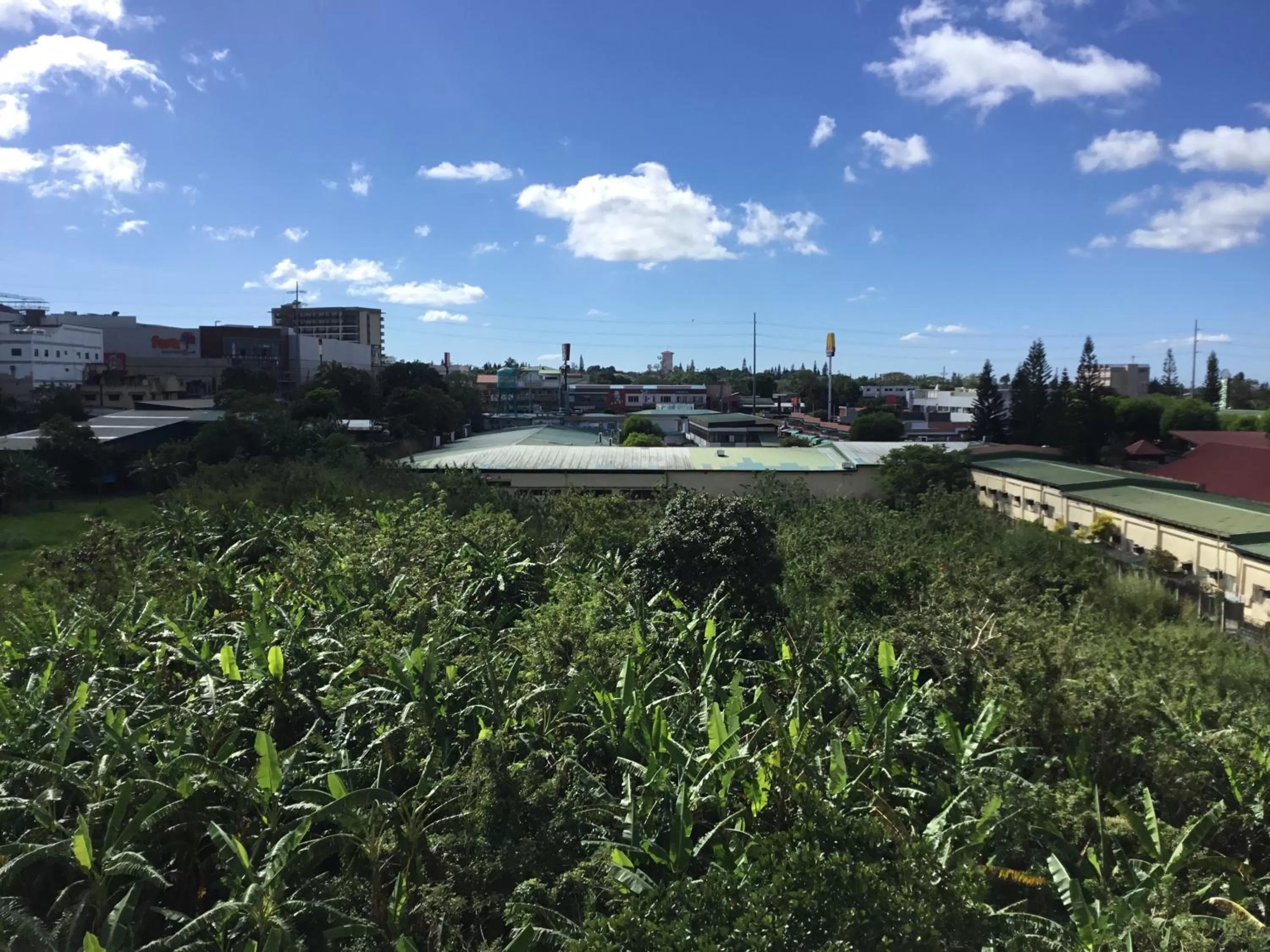 Condo with Free Swimming Pool & Viewing Deck