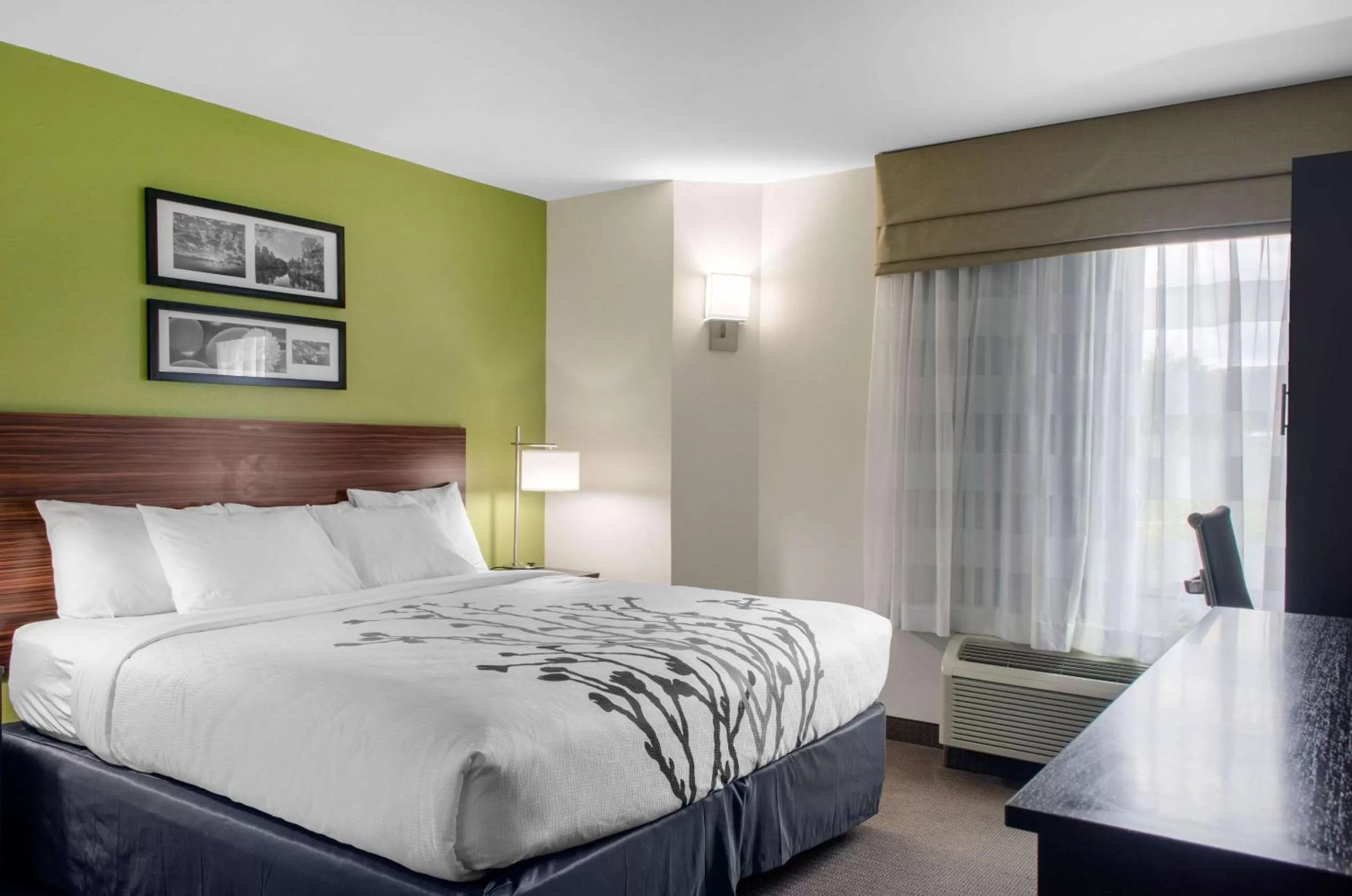 King Room with Accessible Tub - Accessible/Non-Smoking in Sleep Inn Baton Rouge East I-12