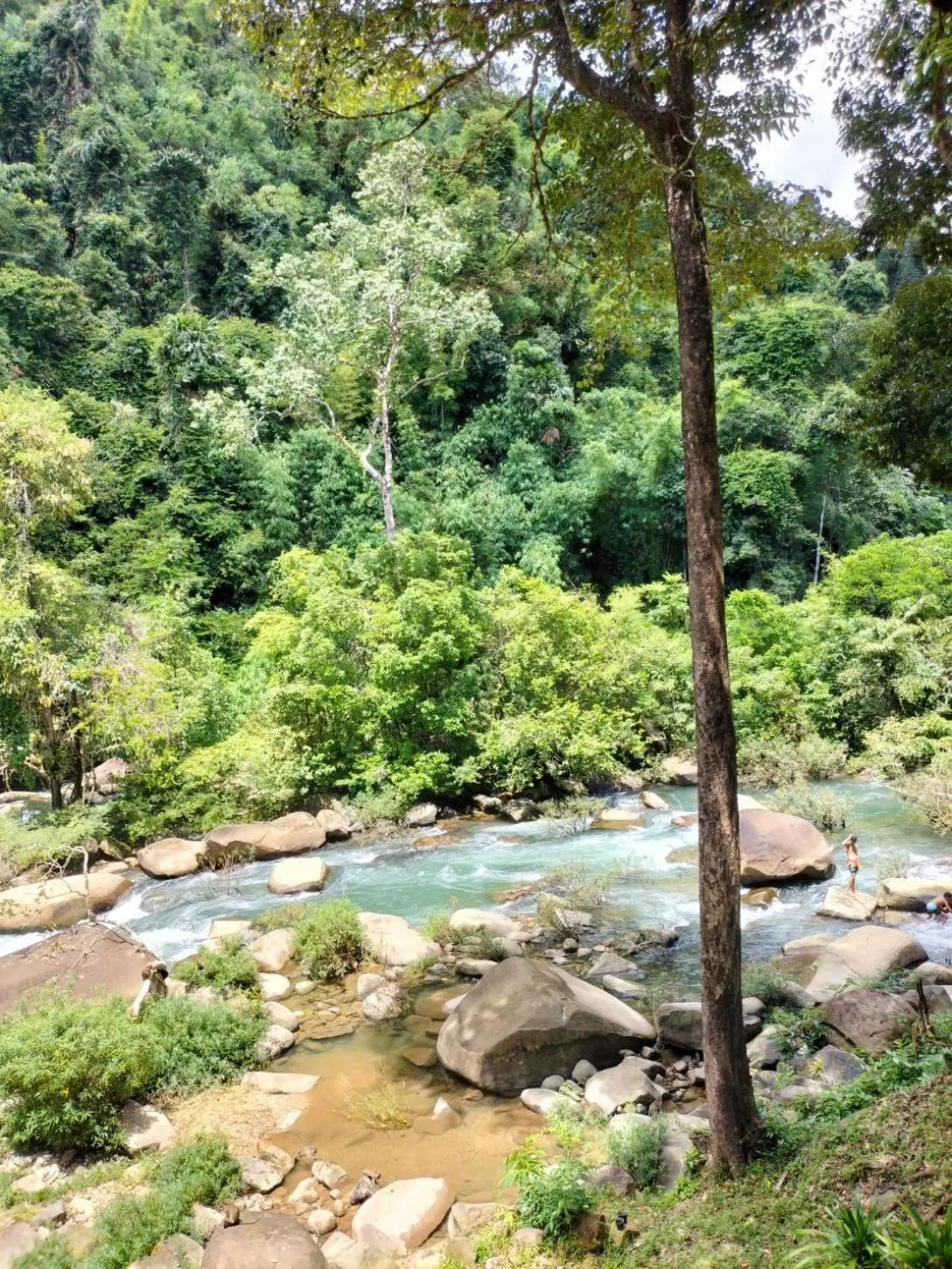 Khaosok Rainforest Resort