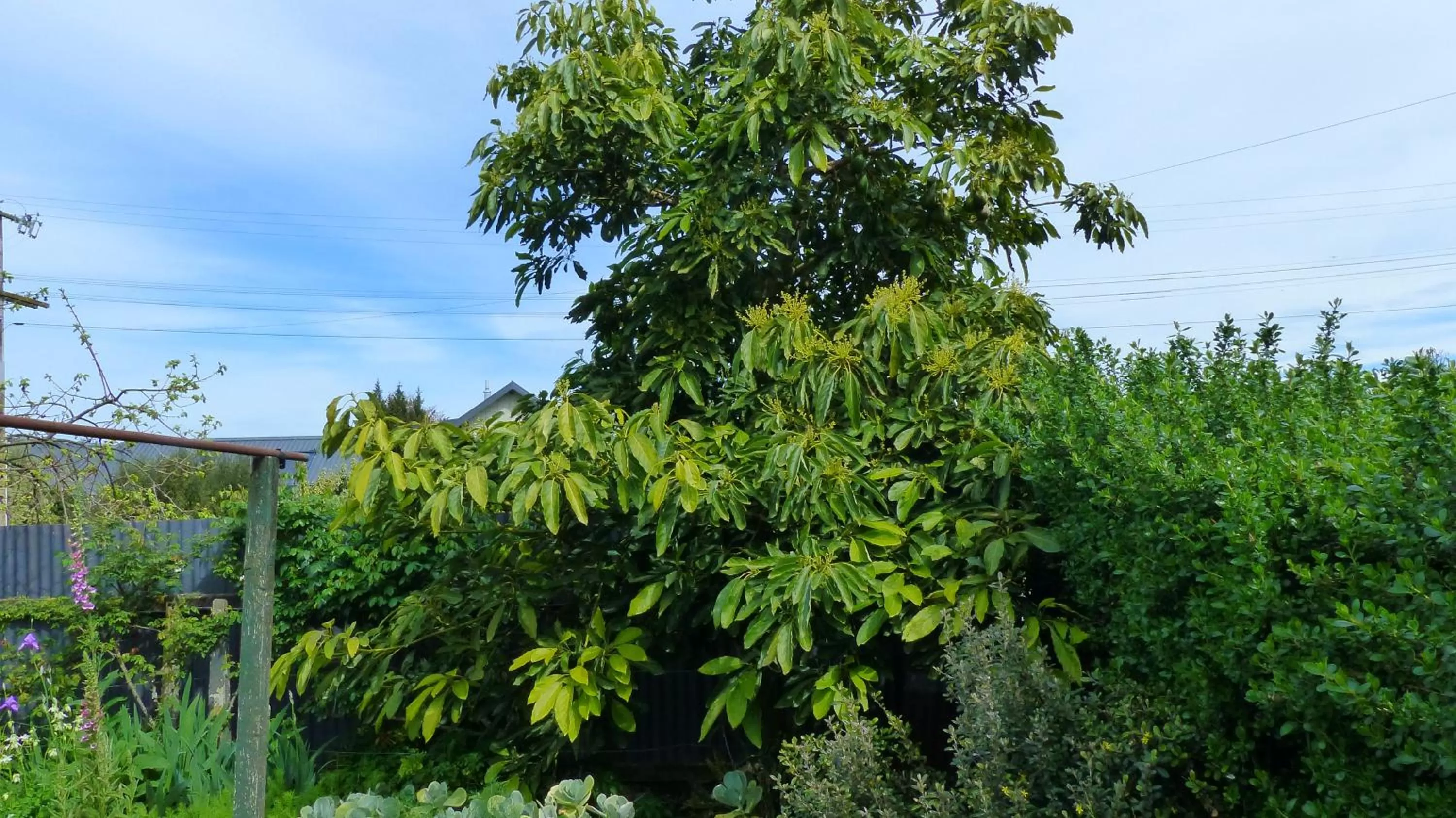 Other in Ashcroft Gardens Bed & Breakfast