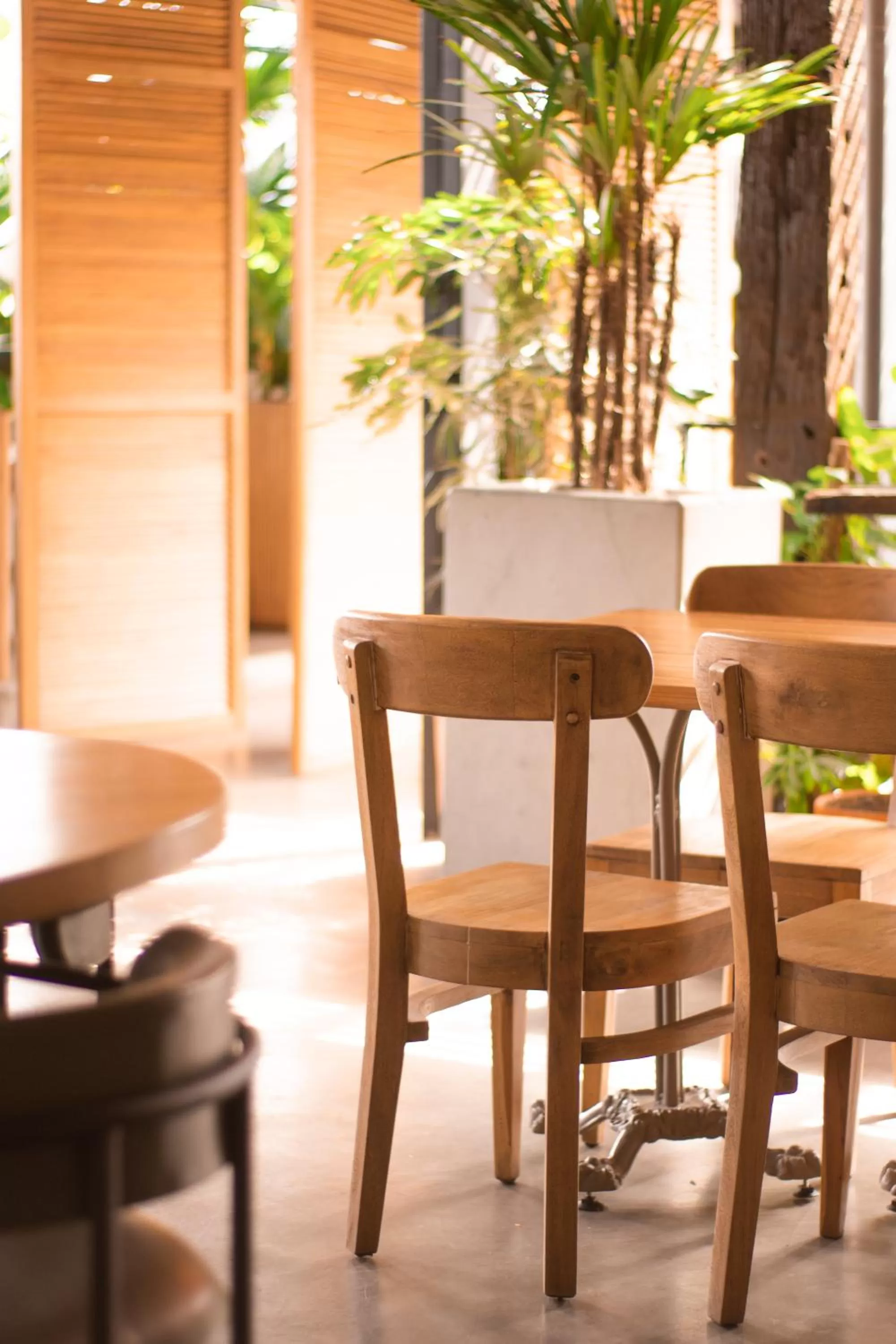 Restaurant/places to eat in The Art Hotel Medellin