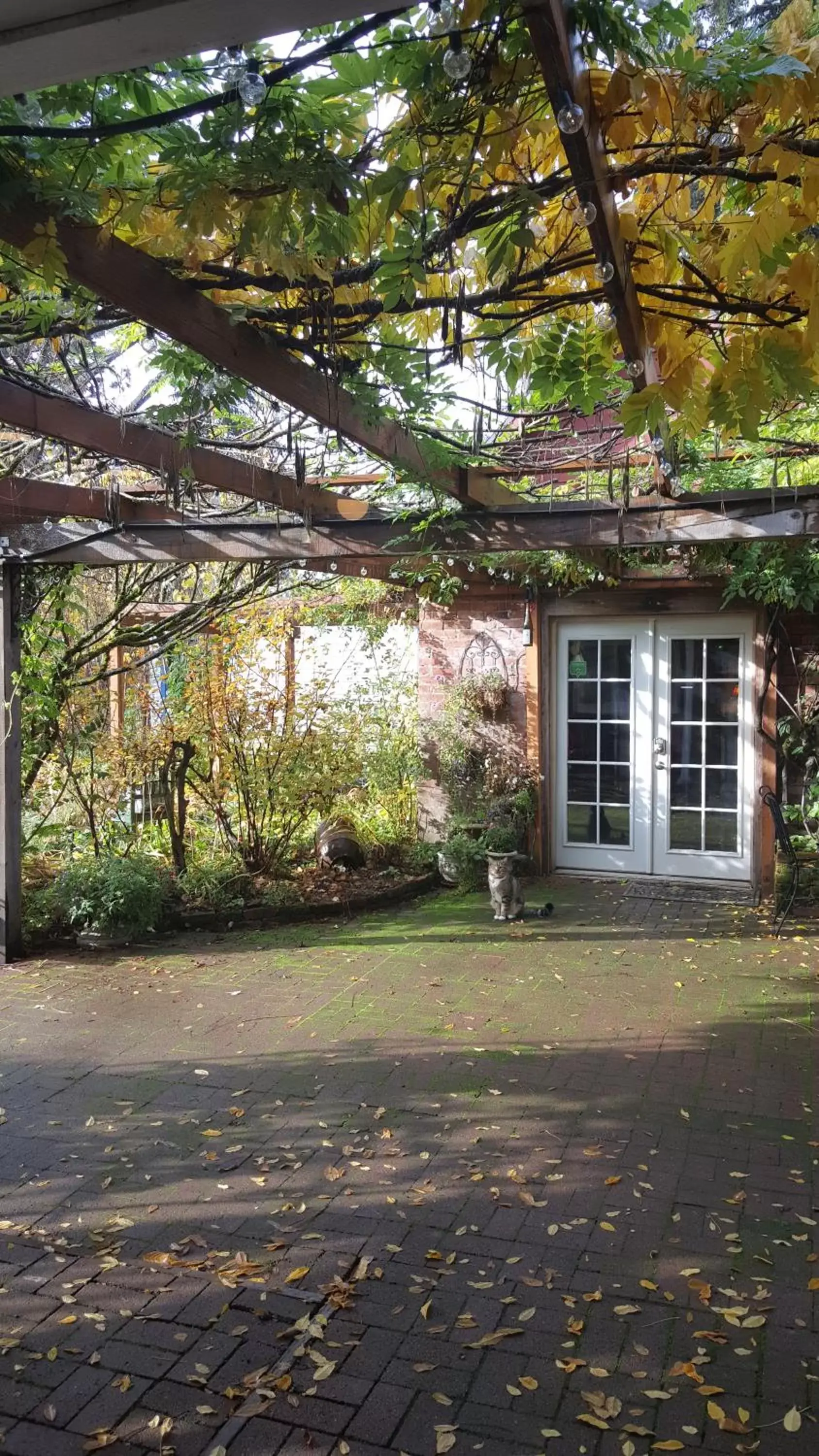 Patio, Property Building in RubyJune Inn