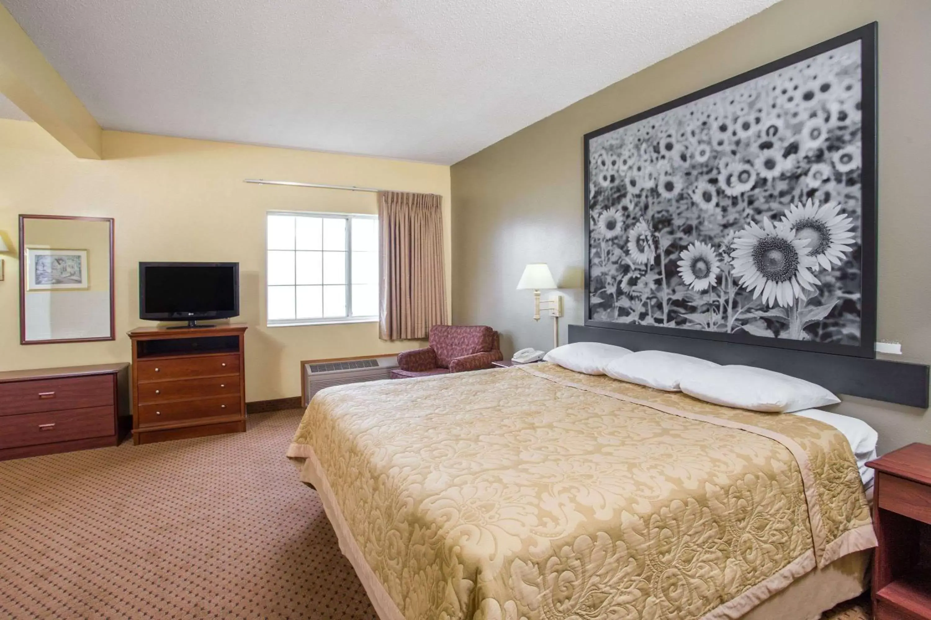 Photo of the whole room, Bed in Super 8 by Wyndham Osage