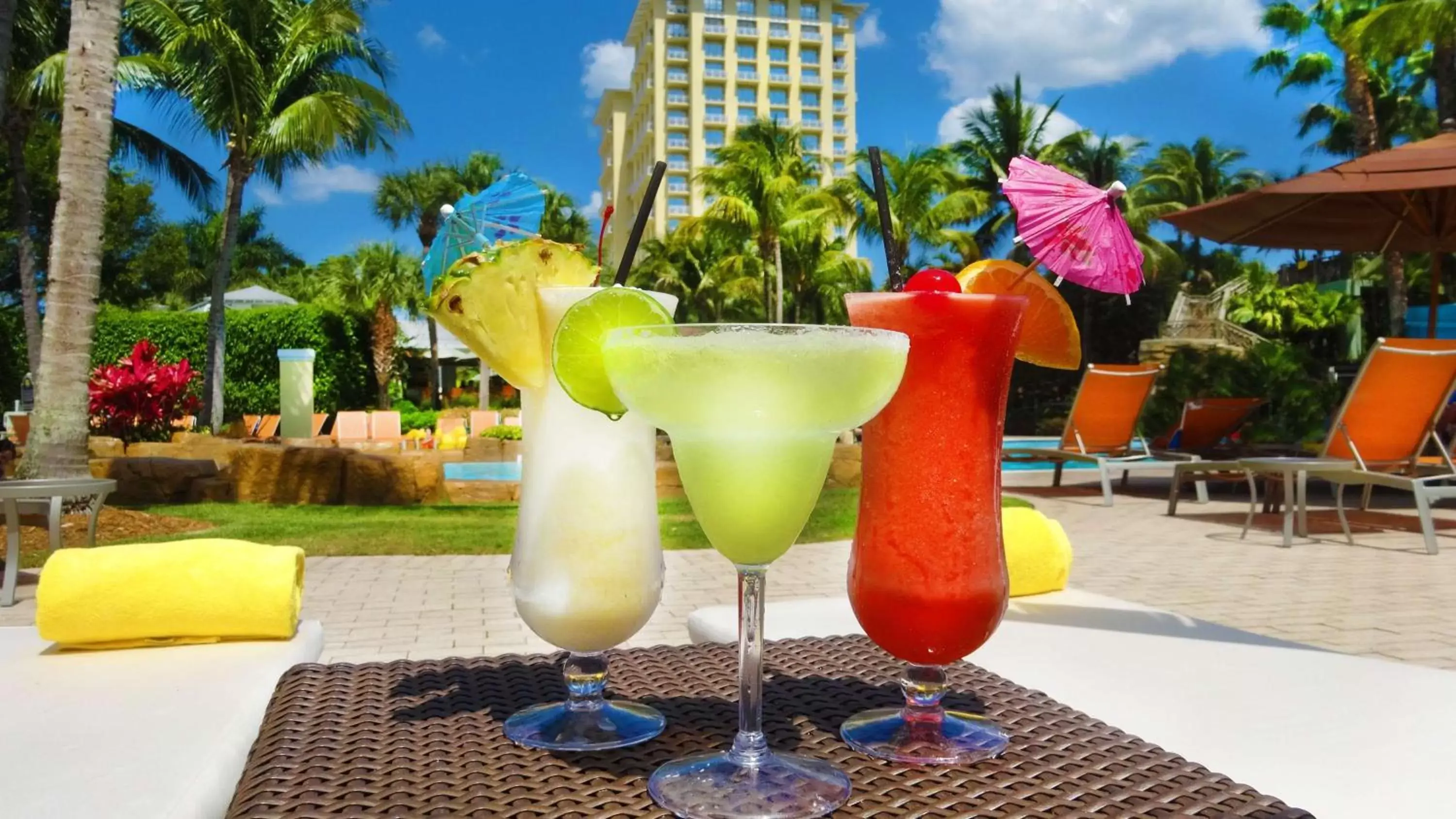 Pool view, Drinks in Hyatt Regency Coconut Point Resort & Spa Near Naples