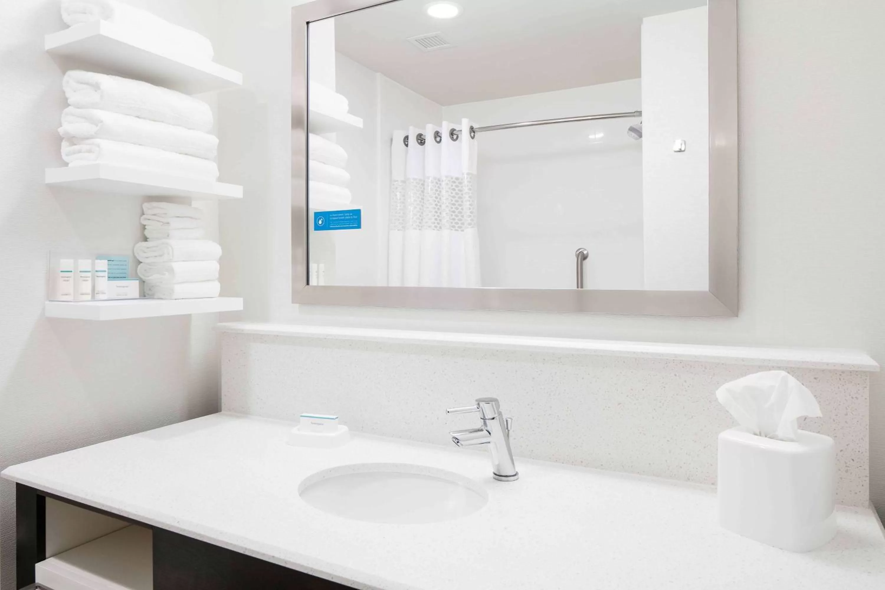 Bathroom in Hampton Inn & Suites-Hudson Wisconsin