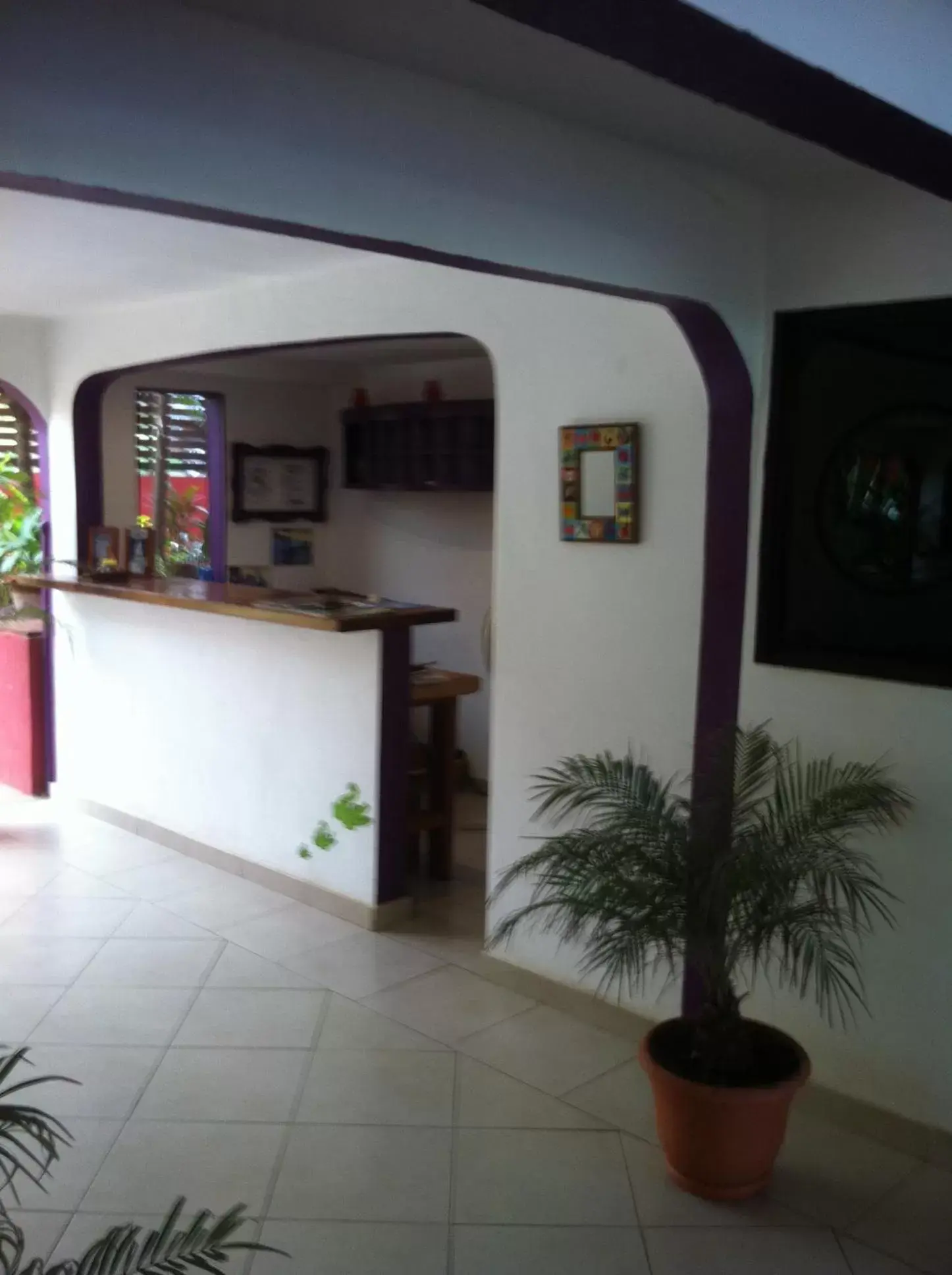 Lobby or reception, Lobby/Reception in Hotel Laguna del Cocodrilo