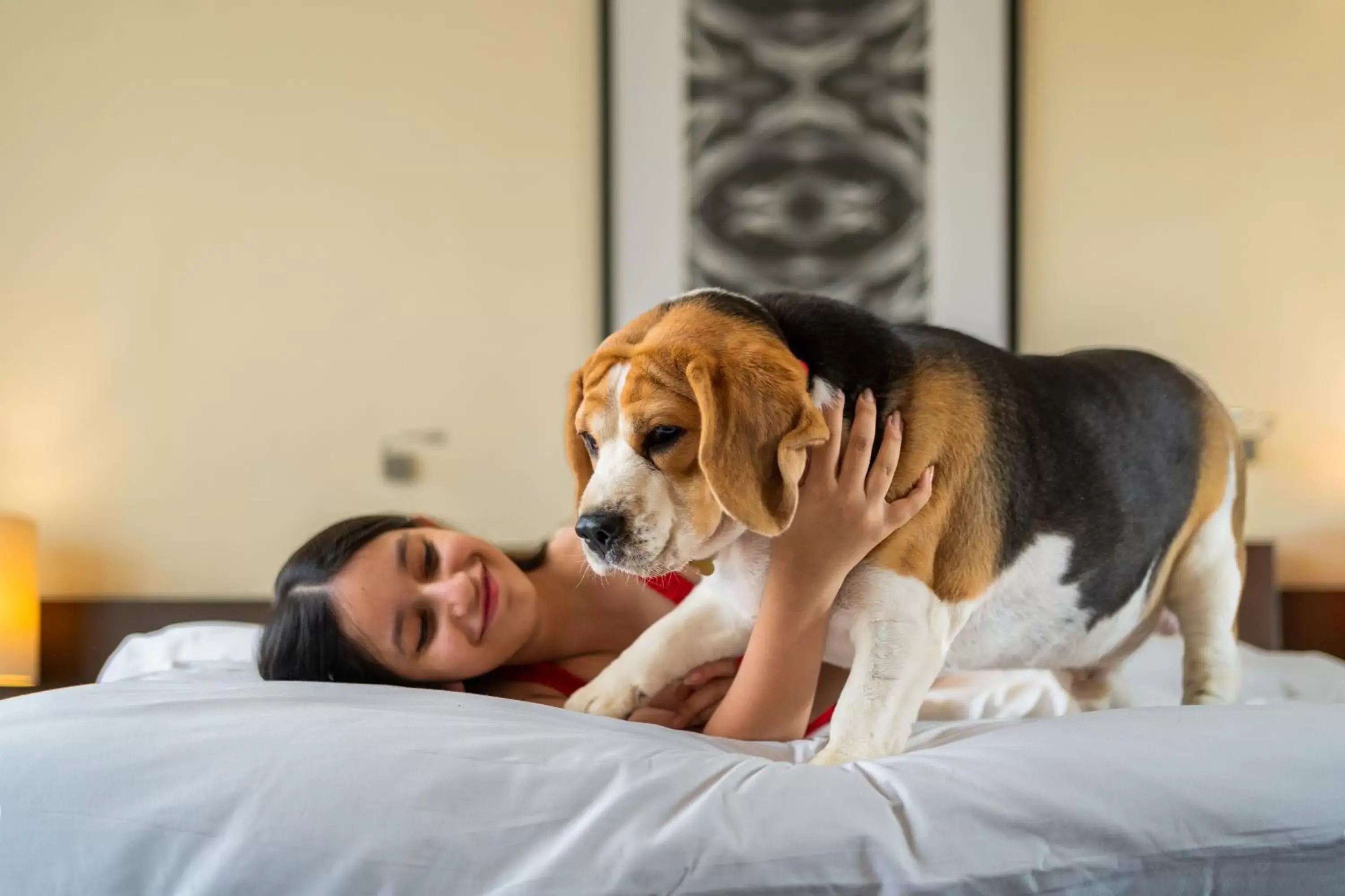 Pets in Hyatt Hyderabad Gachibowli