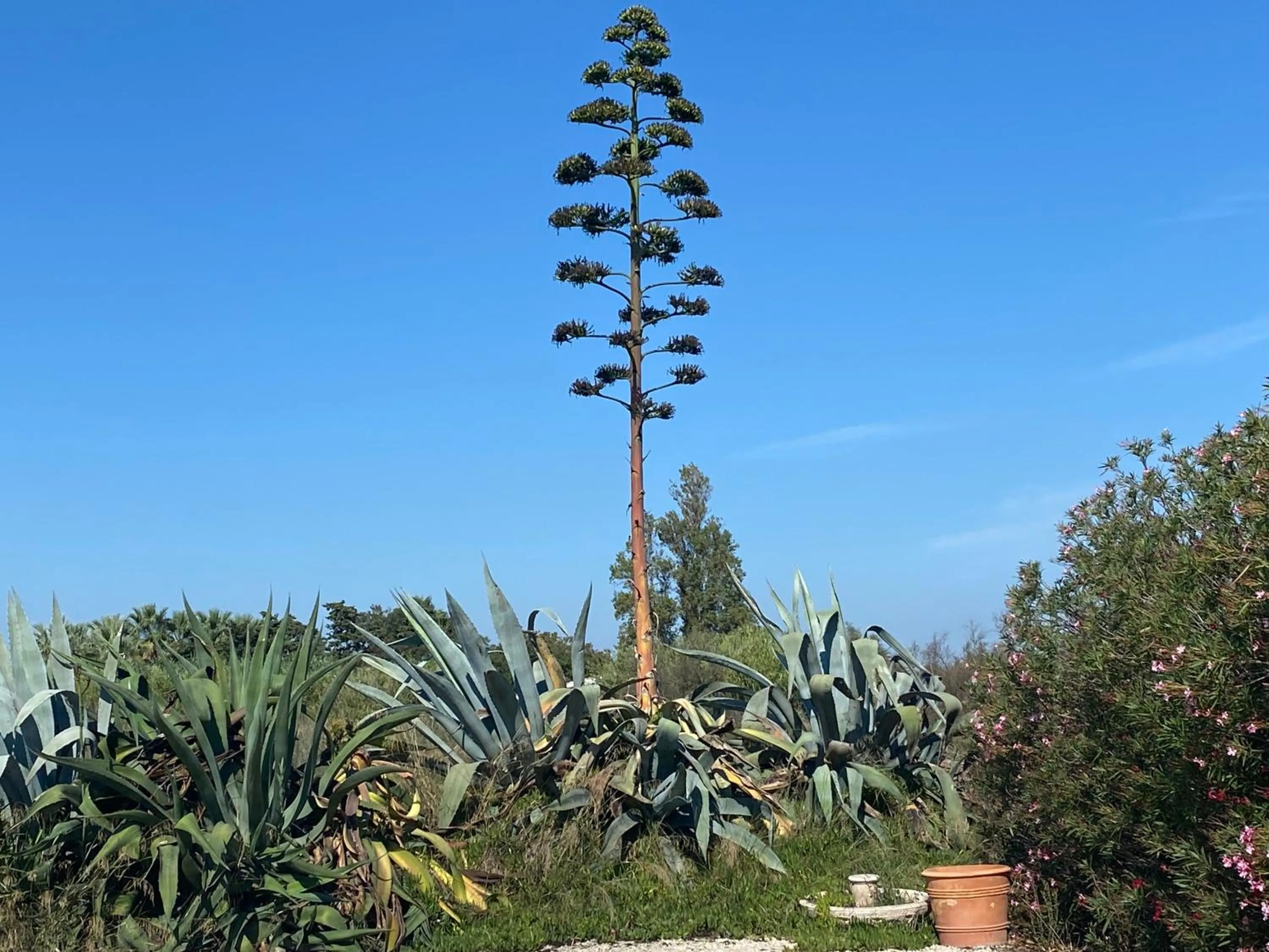 Day in Le Mas de Cocagne