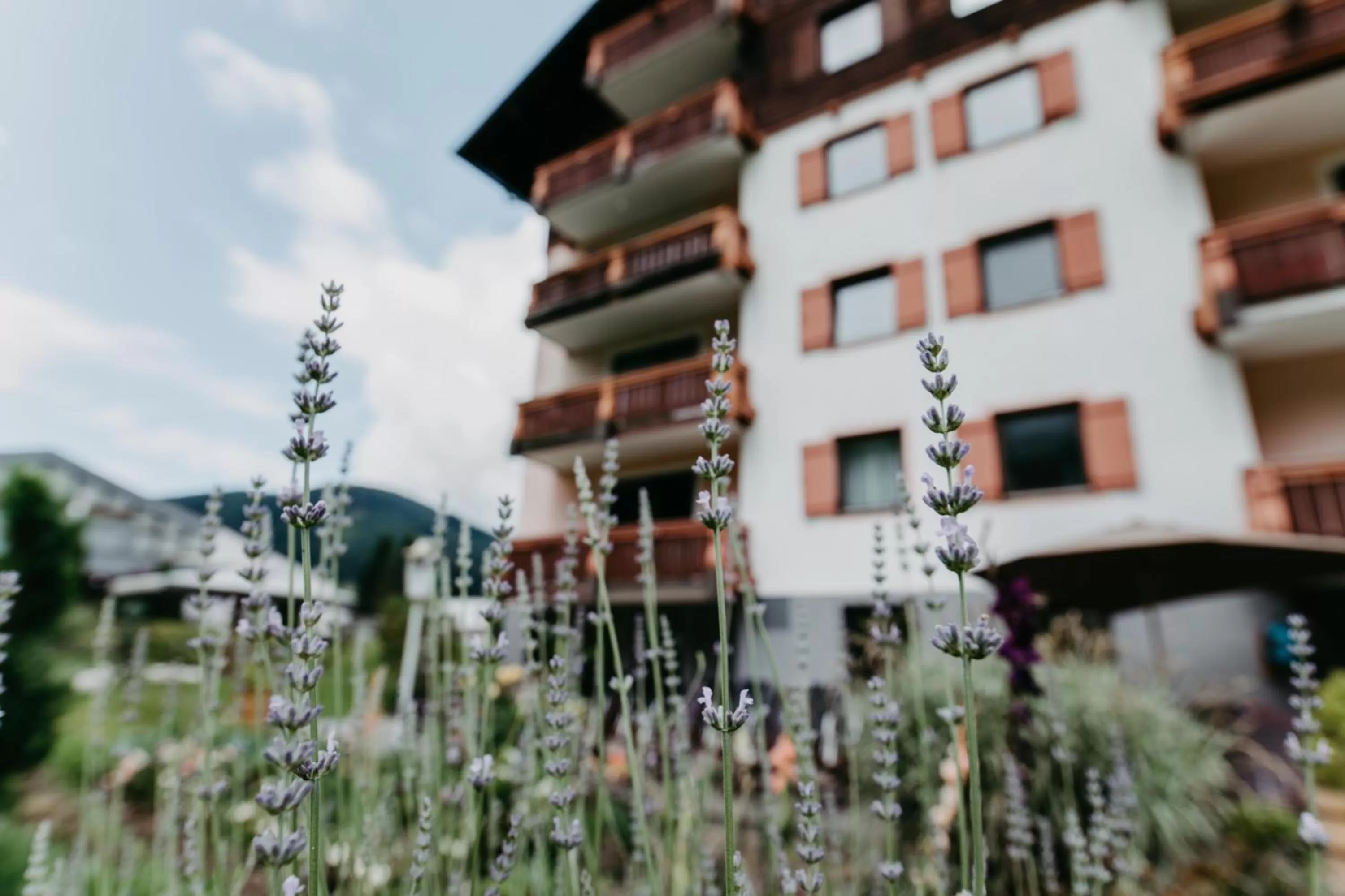 Off site in Vitalhotel Gosau