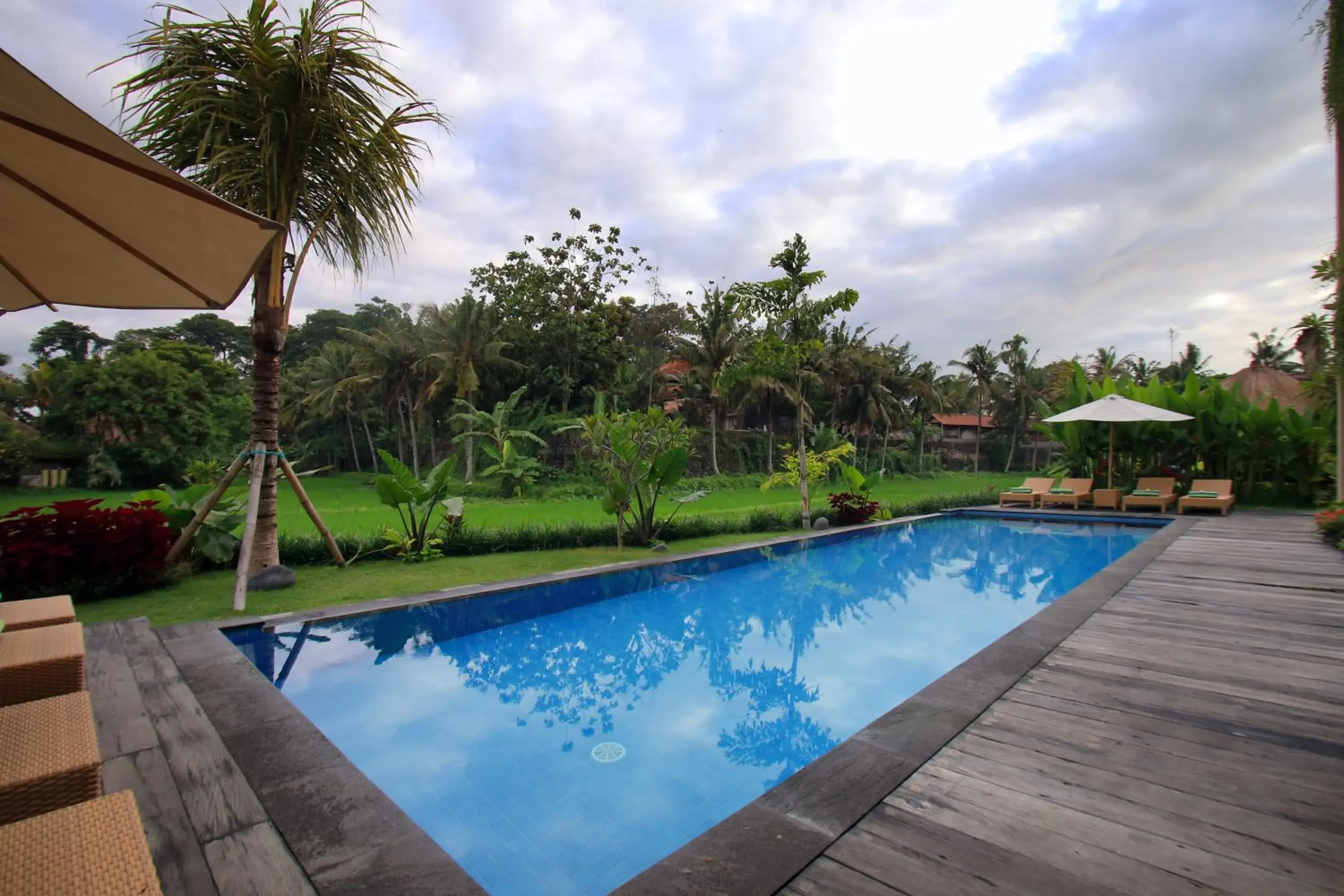 Swimming Pool in Byasa Ubud Hotel