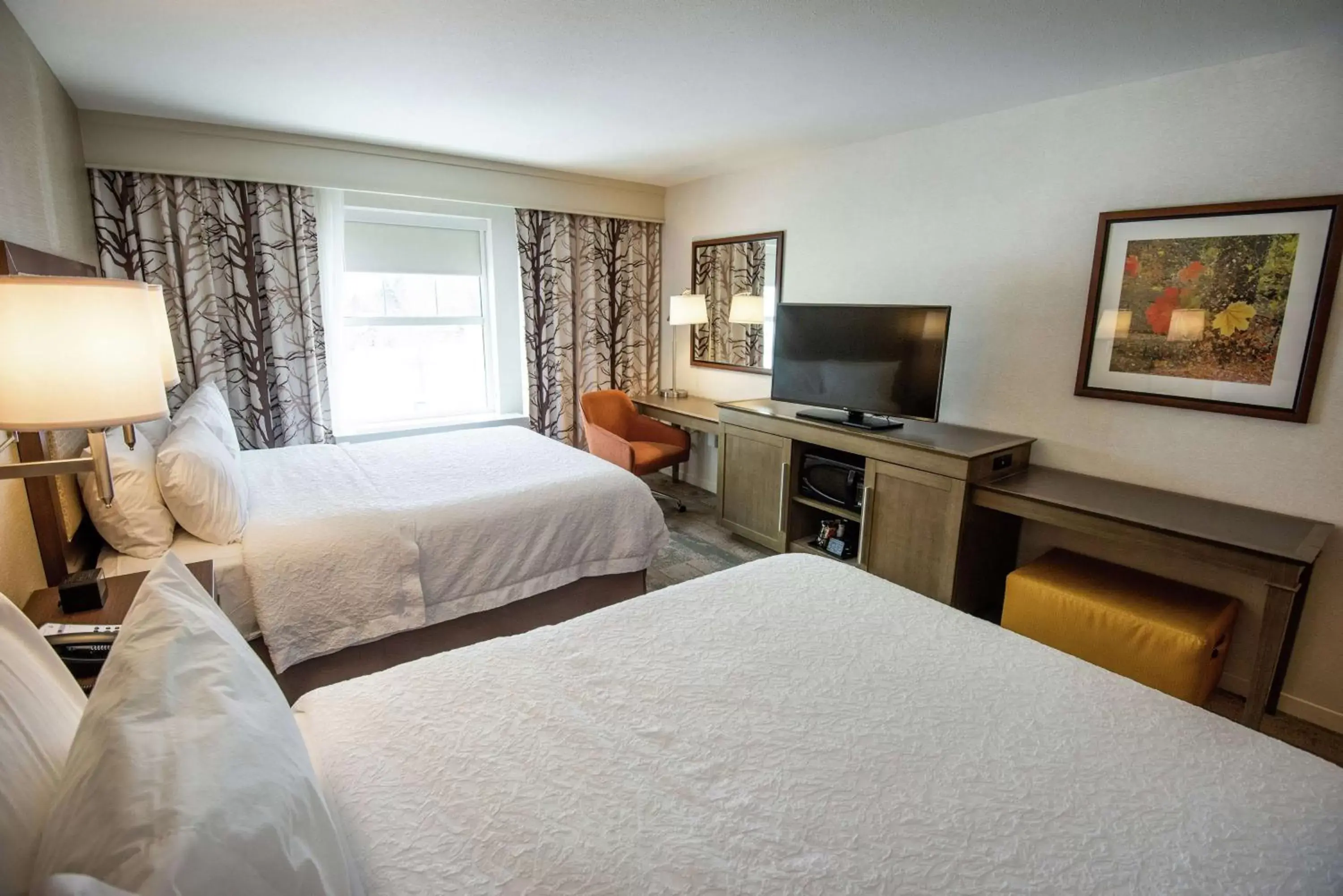 Bedroom, Bed in Hampton Inn & Suites Manchester, Vt