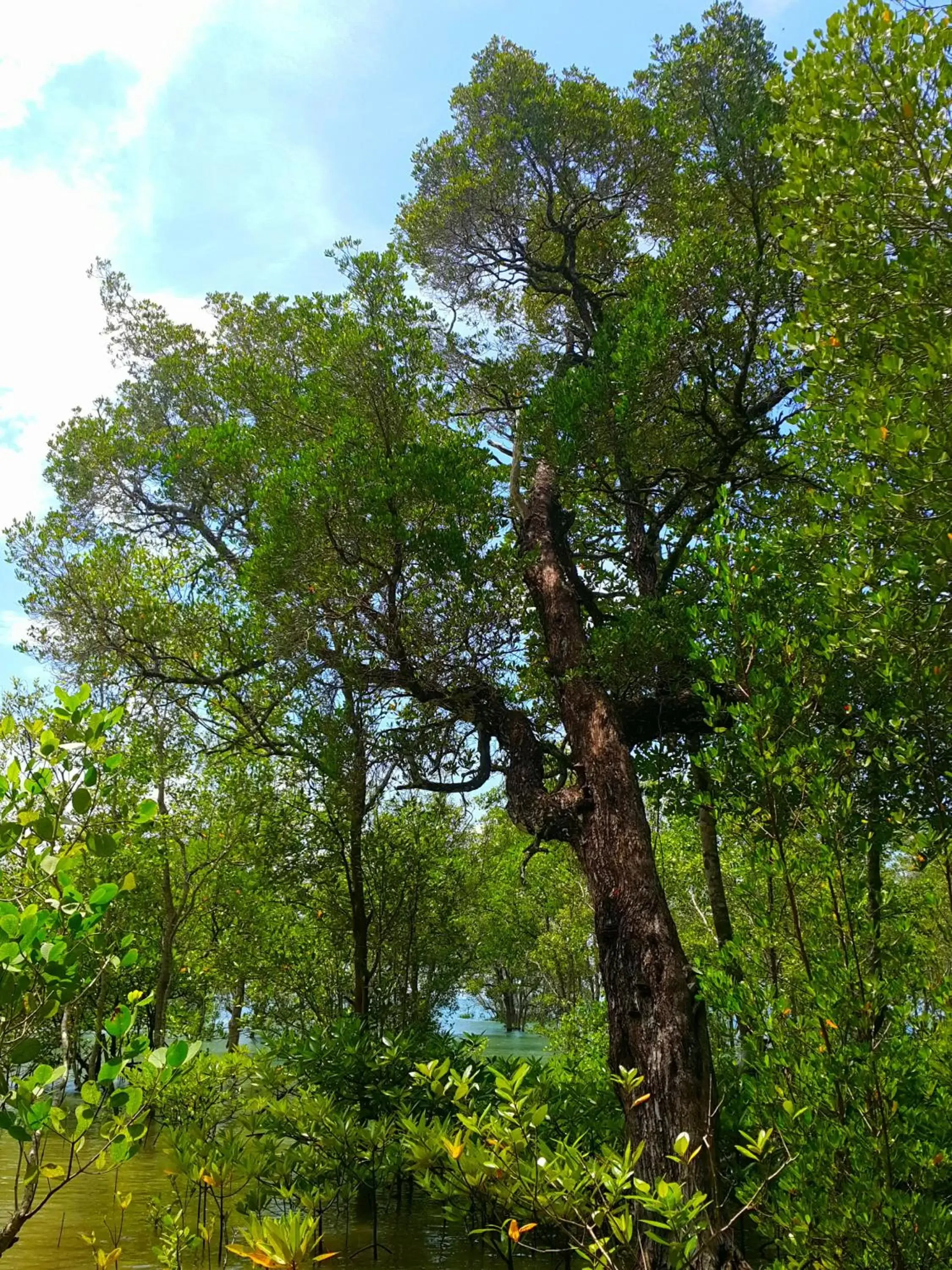 Natural landscape in Na Sook Resort