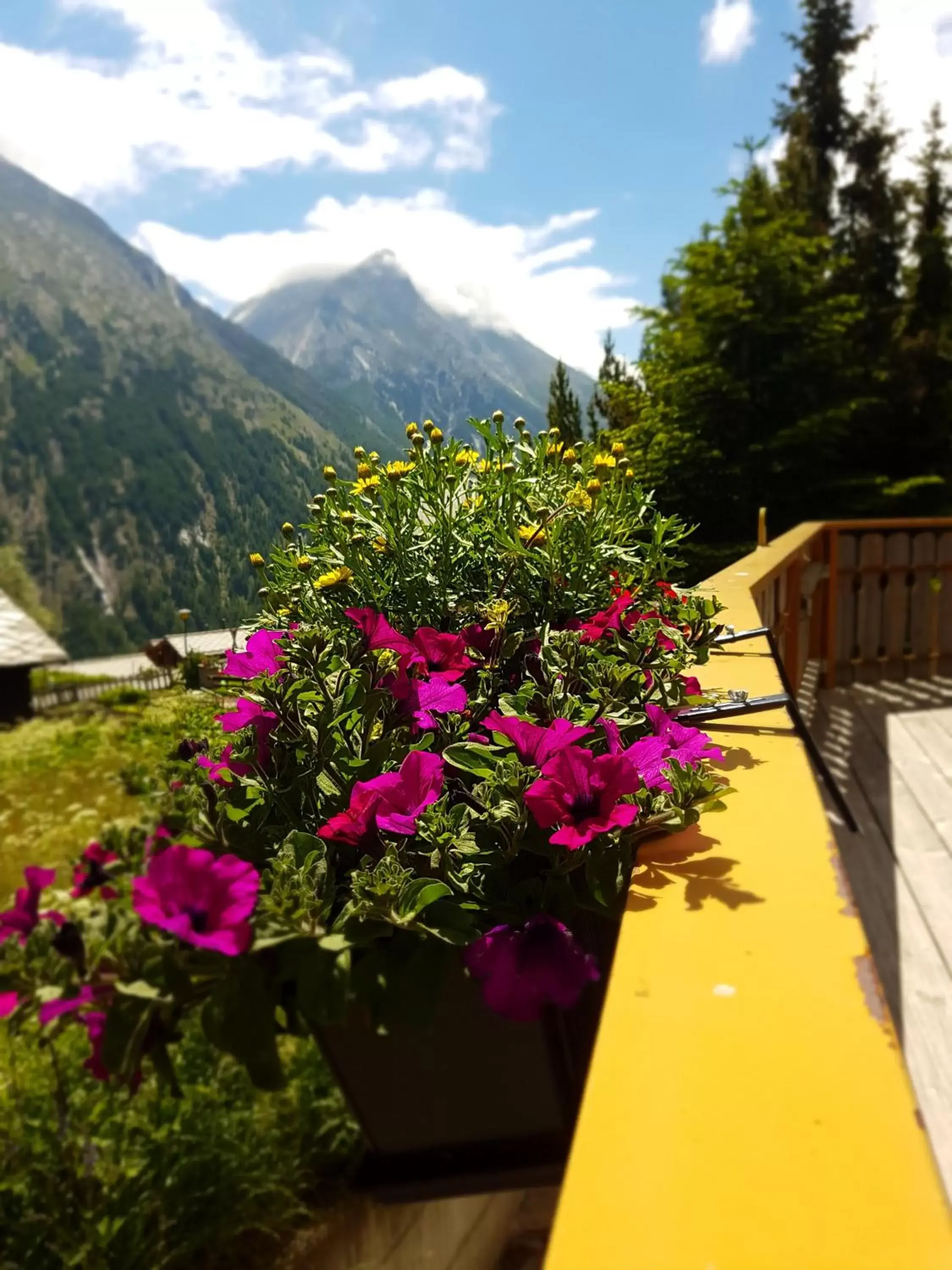 Balcony/Terrace, Mountain View in Hotel Alpenperle