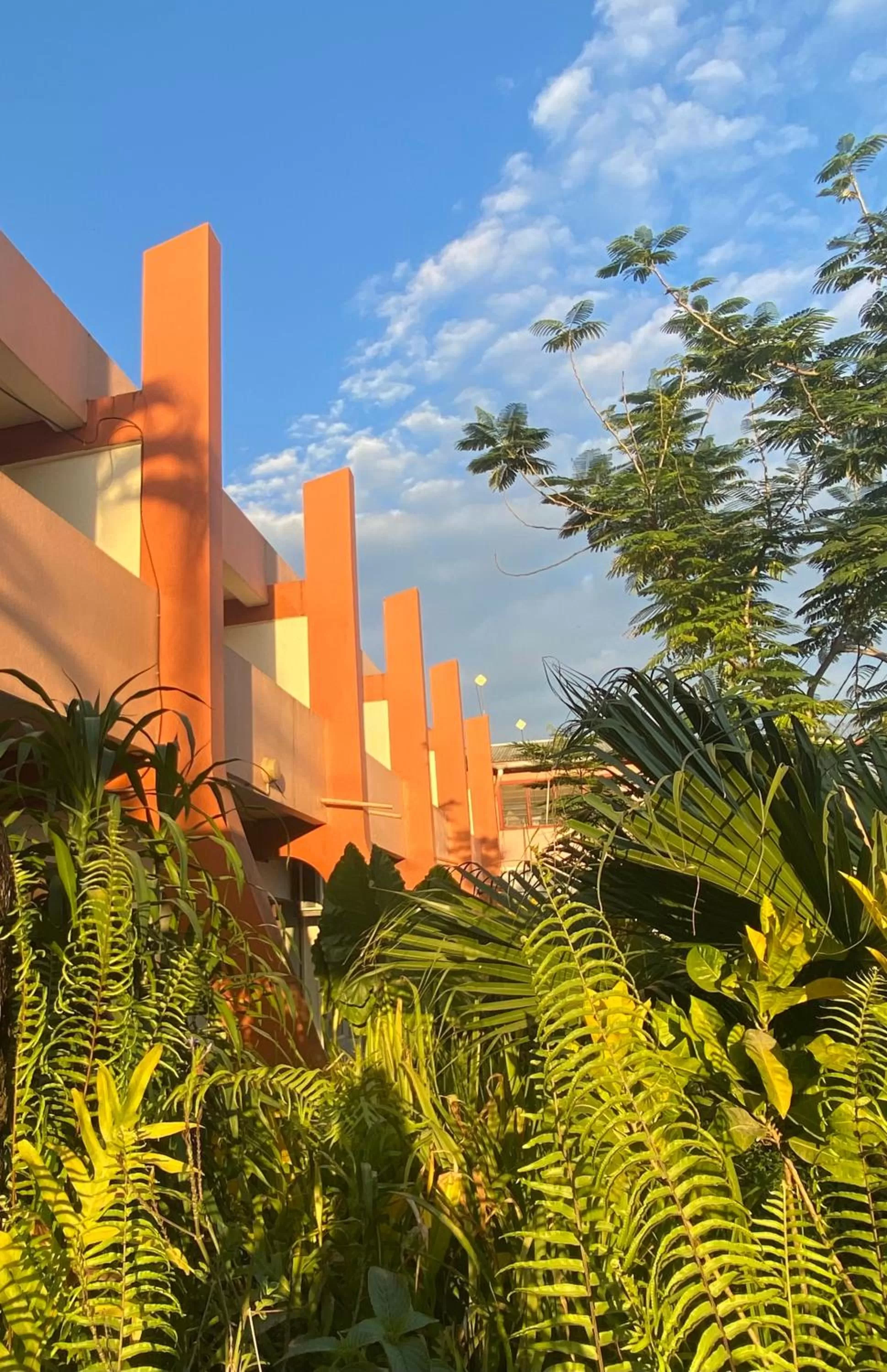 Garden view in Hotel Santo Vanuatu