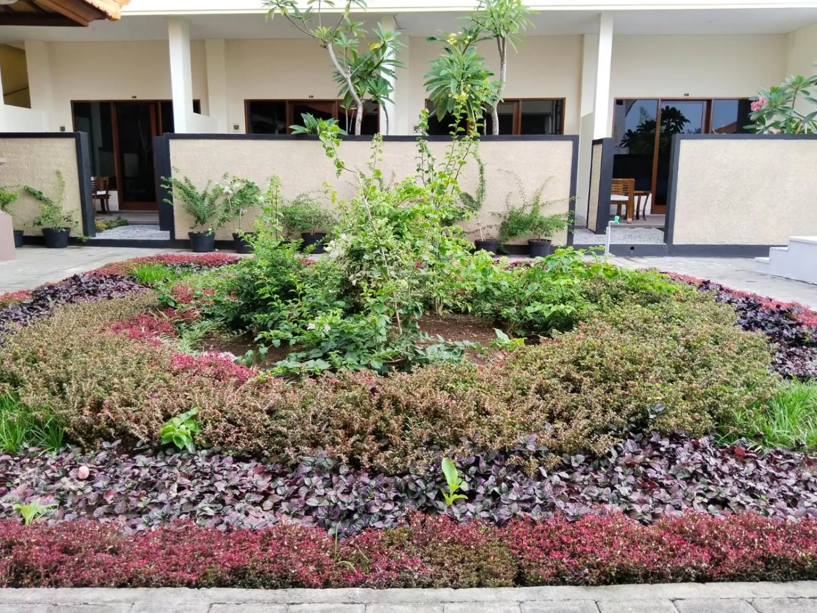 Garden view in THE LAVIANA HOTEL