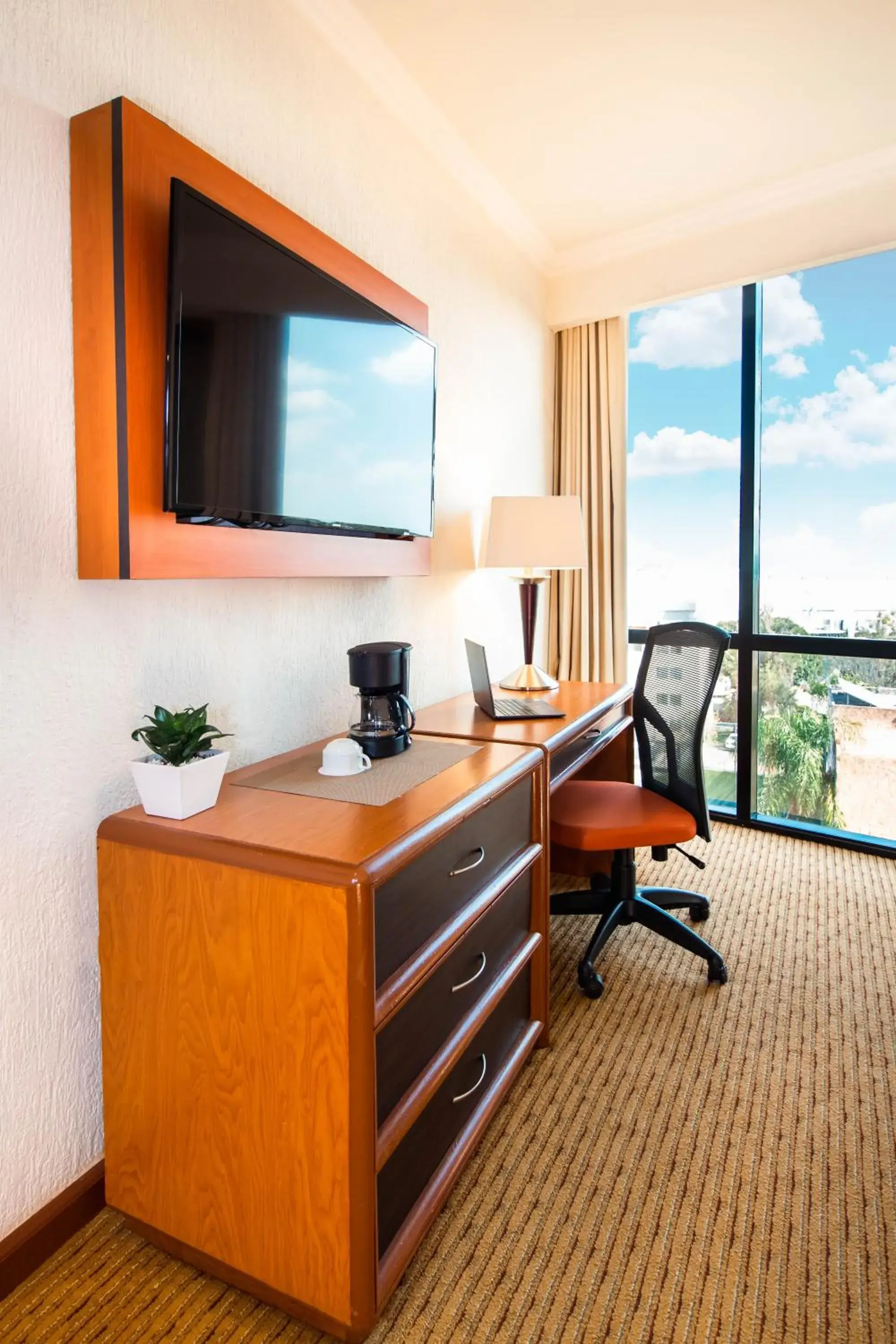 Business facilities, TV/Entertainment Center in Hotel Guadalajara Plaza Expo