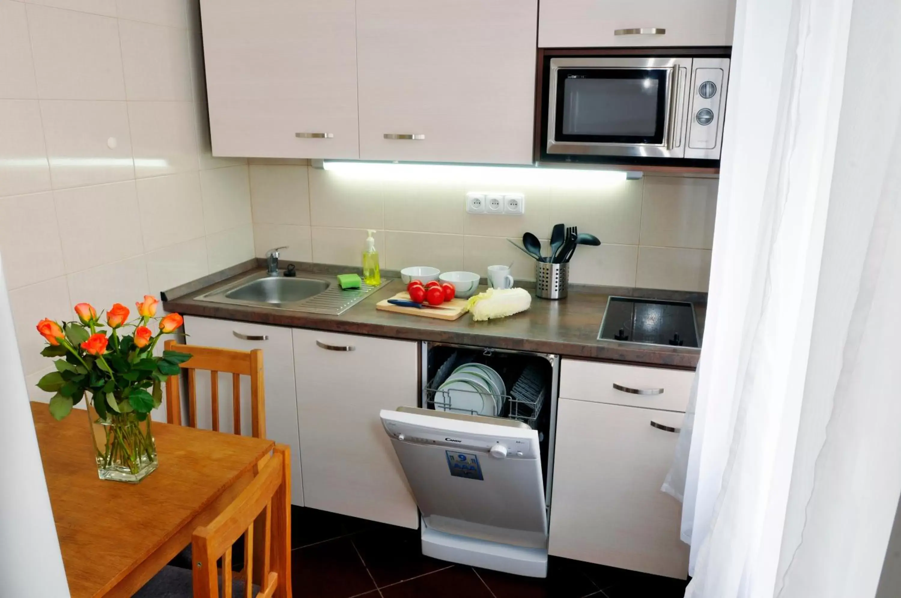 Kitchen/Kitchenette in Pension Prague City