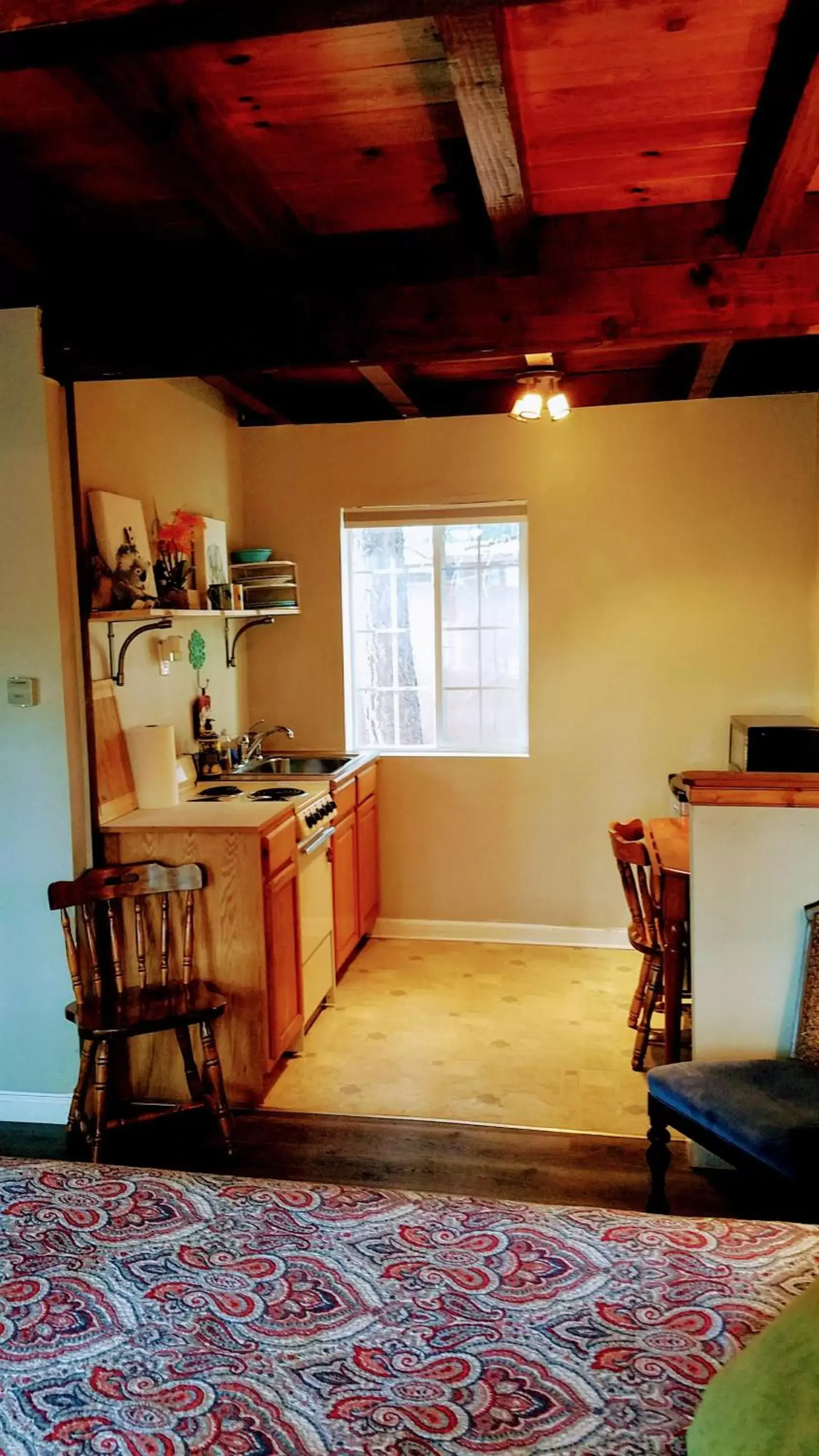 Kitchen/Kitchenette in The Washoe Lodge