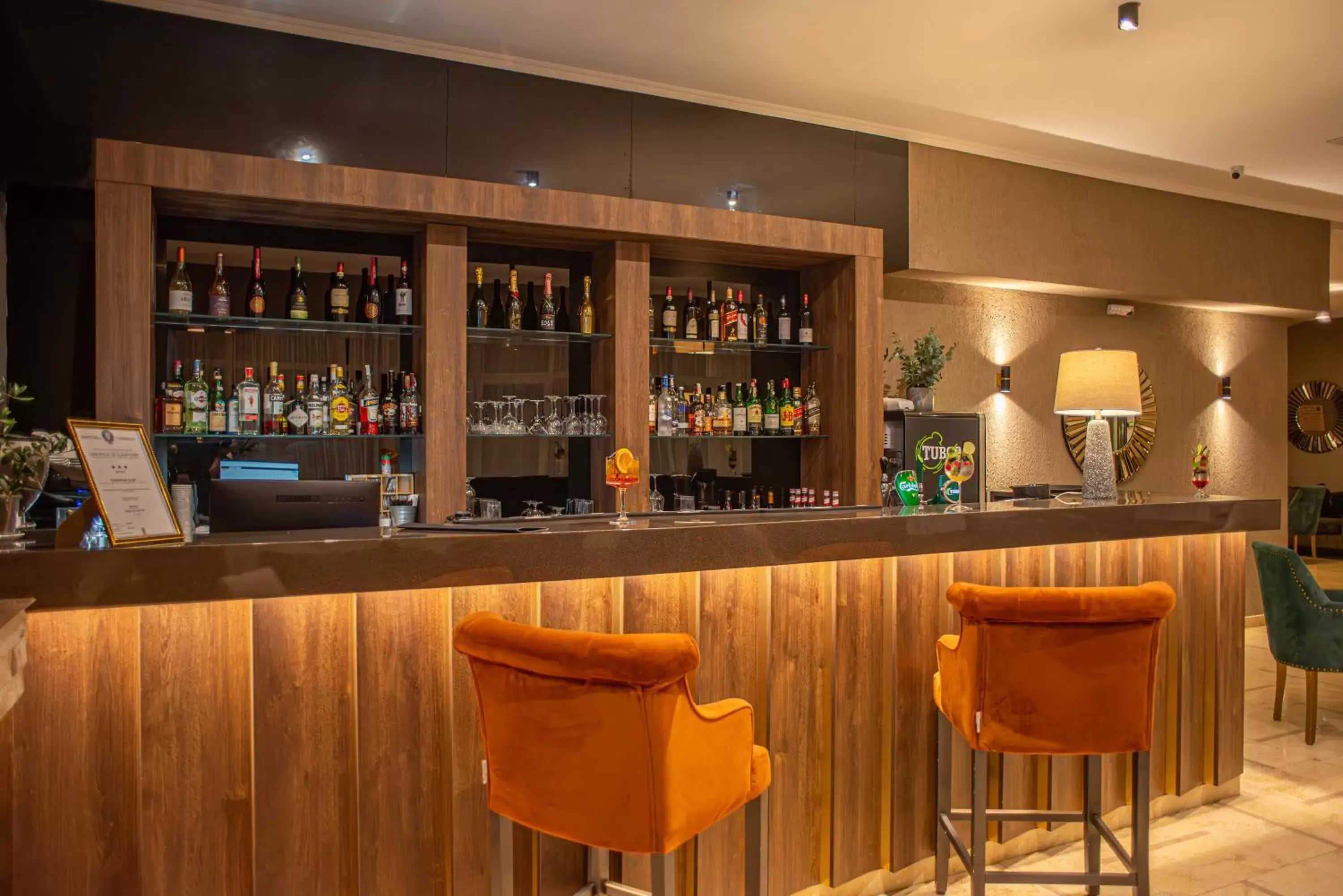 Lounge or bar, Lounge/Bar in Hotel Carpathia