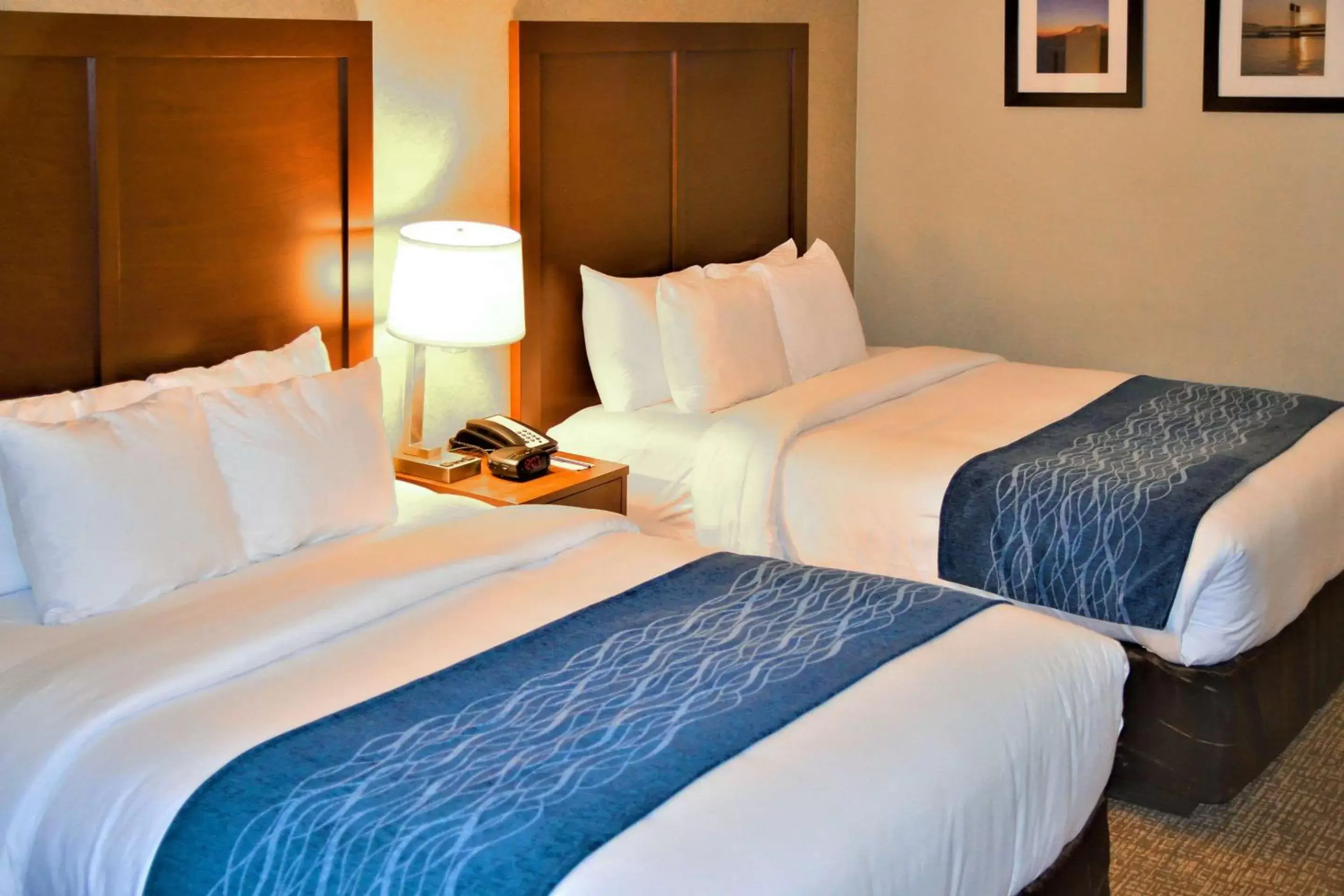 Photo of the whole room, Bed in Comfort Inn & Suites Vancouver Downtown City Center