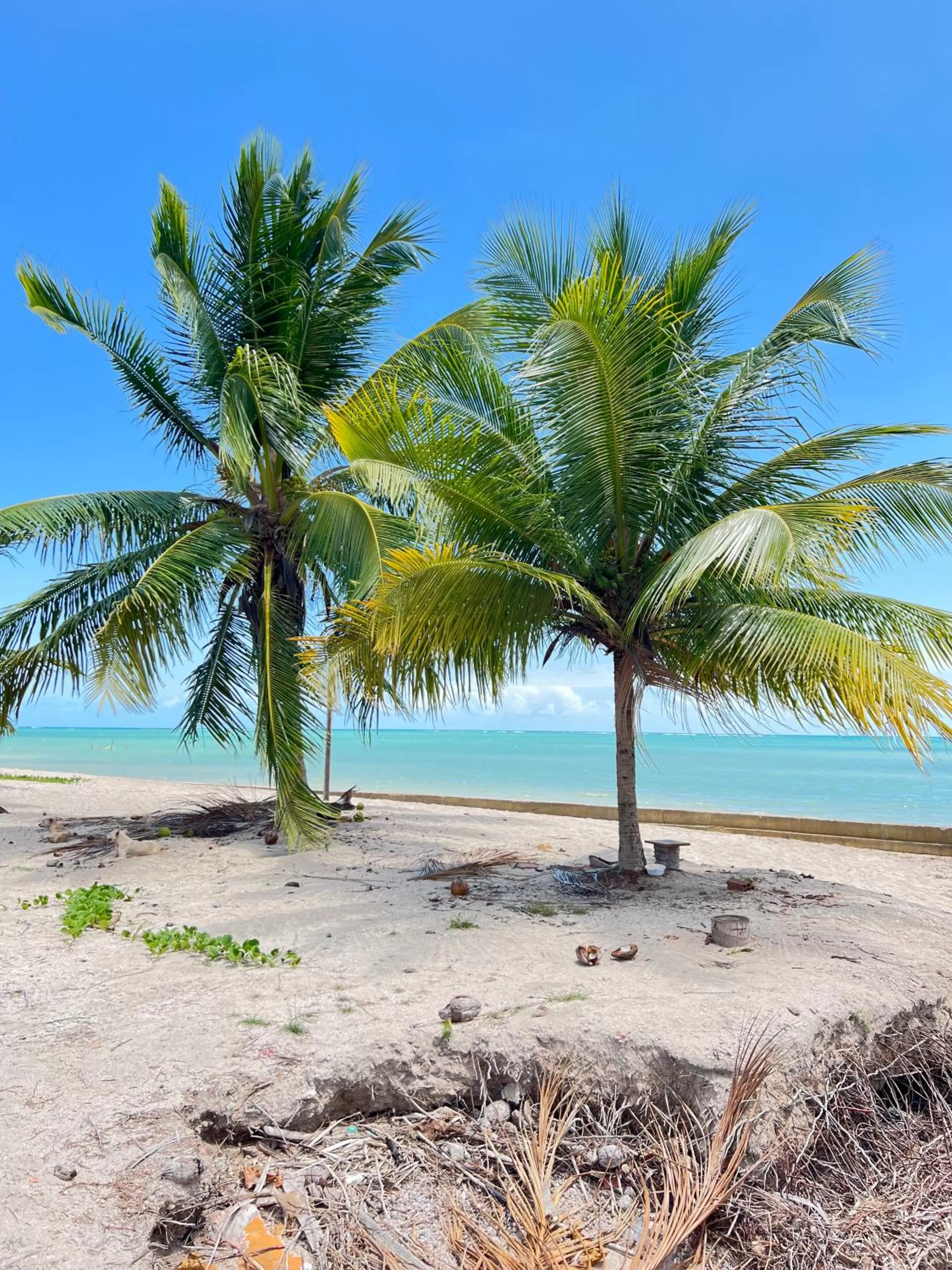 Natural landscape in POUSADA RANCHO PARAISO