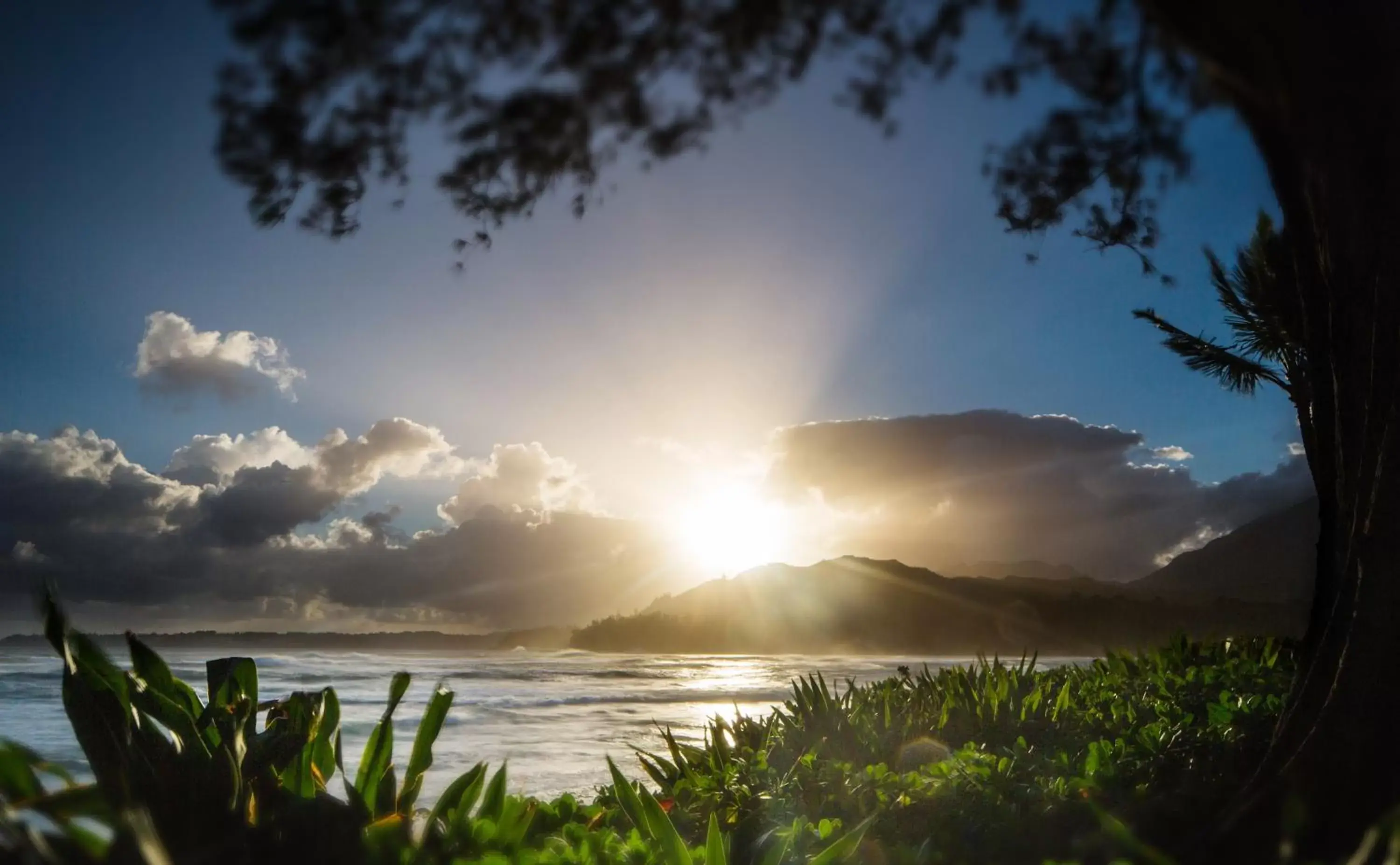 Beach, Sunrise/Sunset in Hanalei Colony Resort