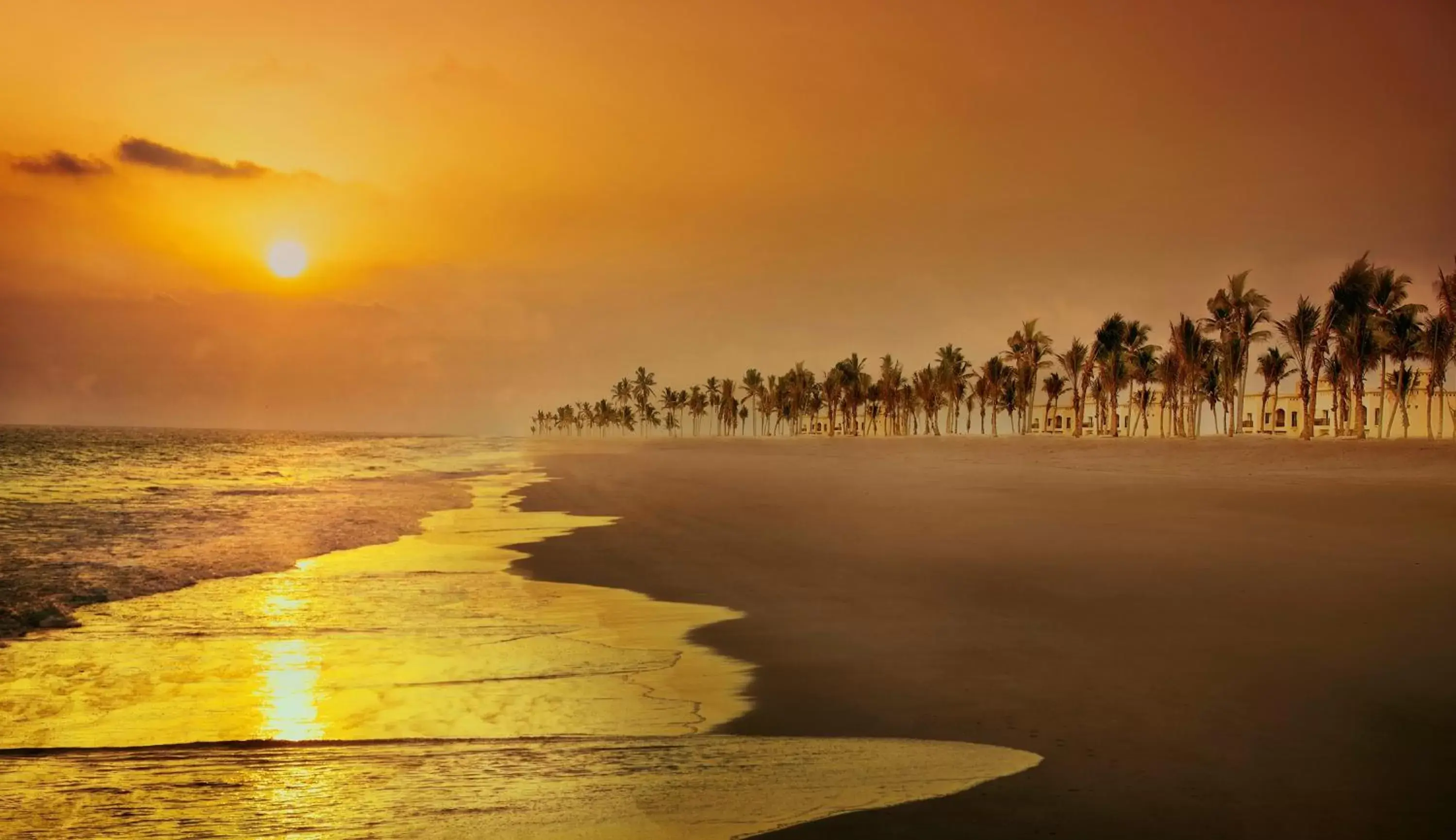 Beach, Natural Landscape in Salalah Rotana Resort