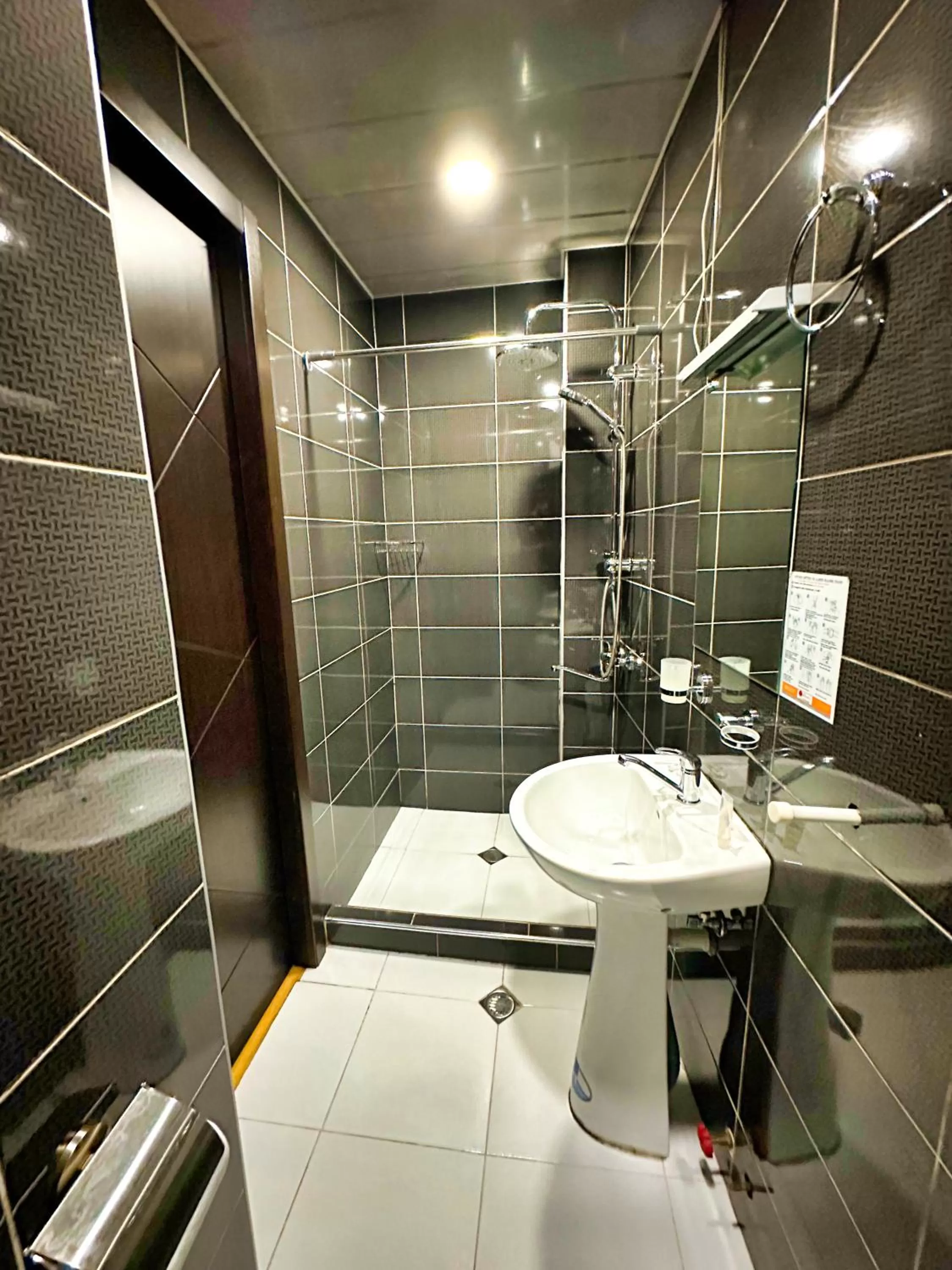 Toilet, Bathroom in Metekhi View Hotel