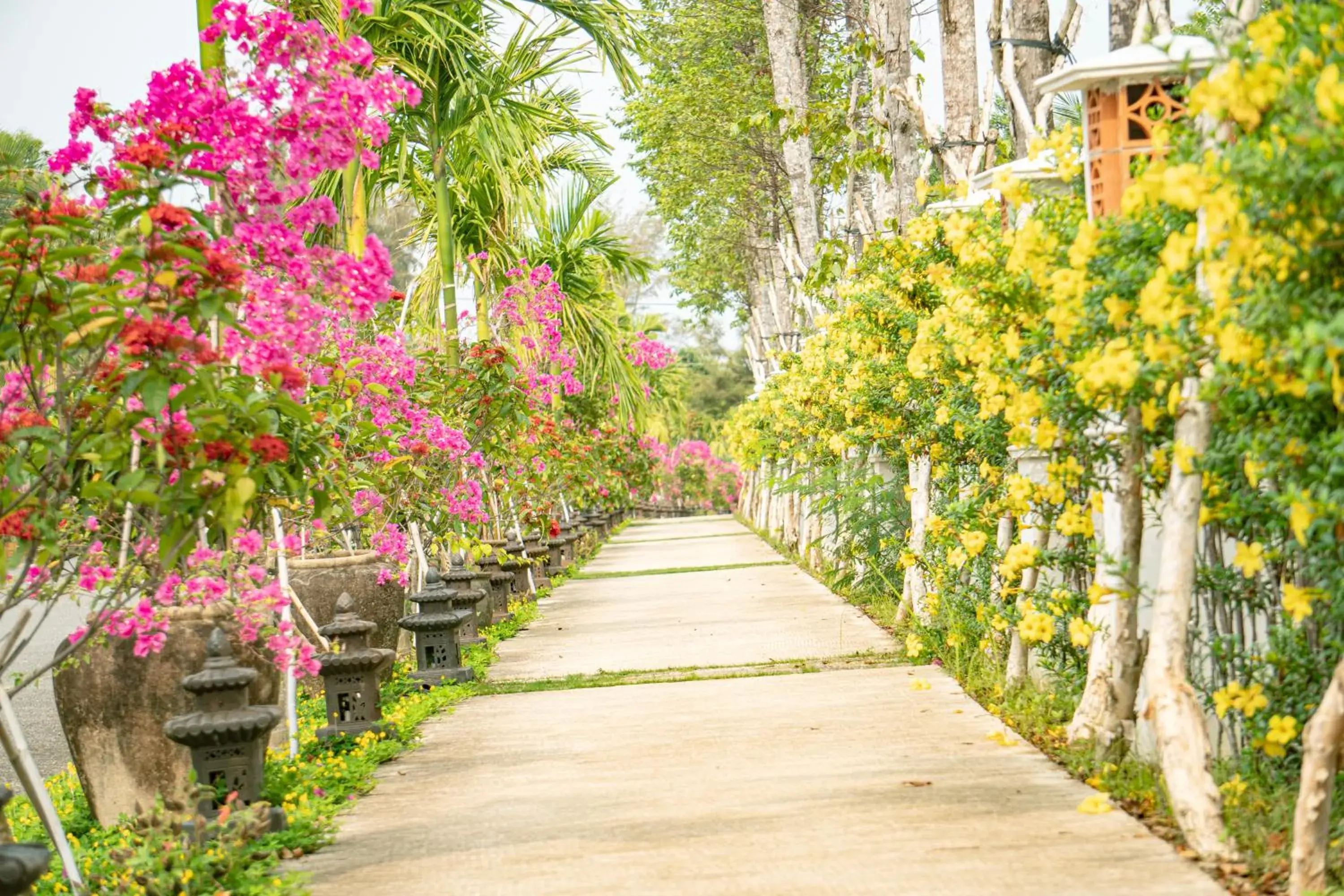 Garden in Mercury Phu Quoc Resort & Villas