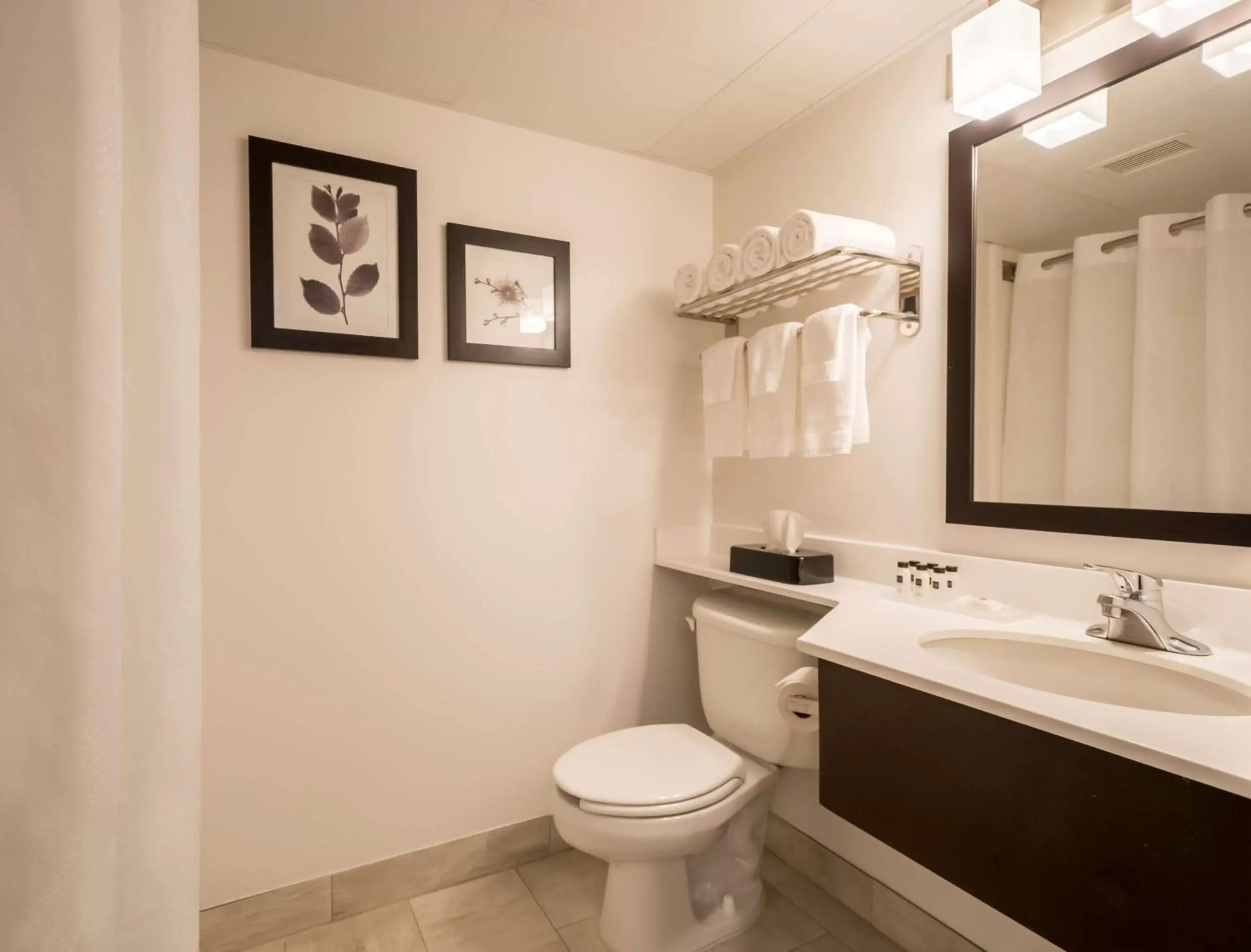 Bathroom in Country Inn & Suites by Radisson, Rochester-Pittsford/Brighton, NY
