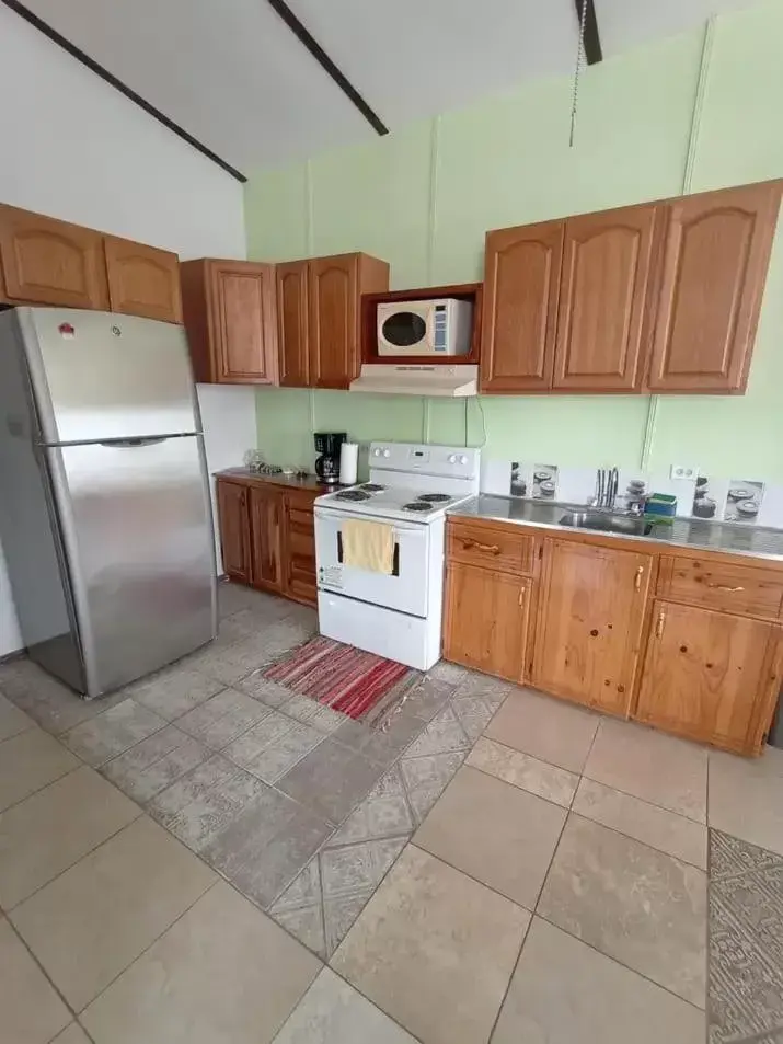 kitchen, Kitchen/Kitchenette in Nirvana Apartament Hostal