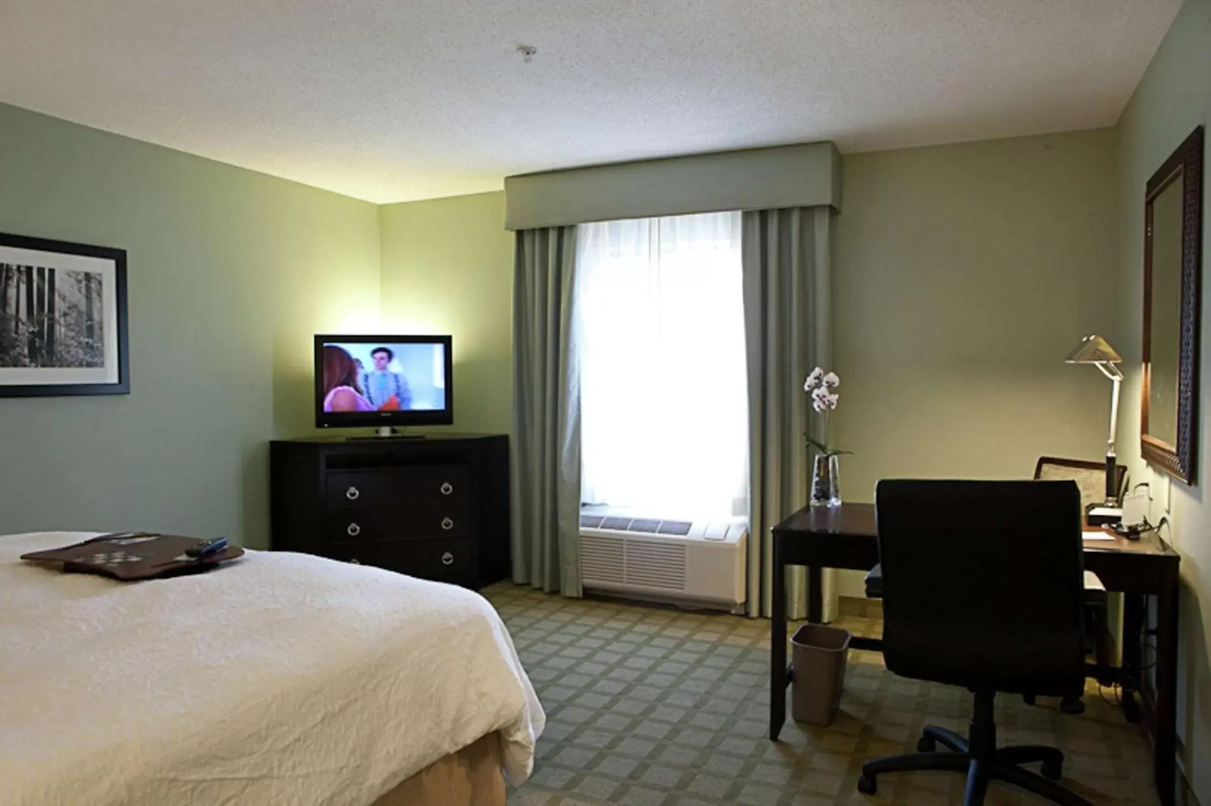 Bedroom, TV/Entertainment Center in Hampton Inn & Suites Detroit-Canton