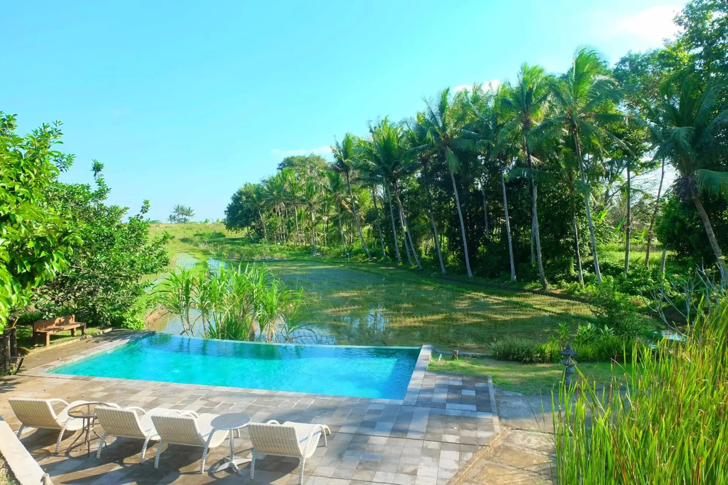 Natural landscape, Swimming Pool in Puri Taman Sari