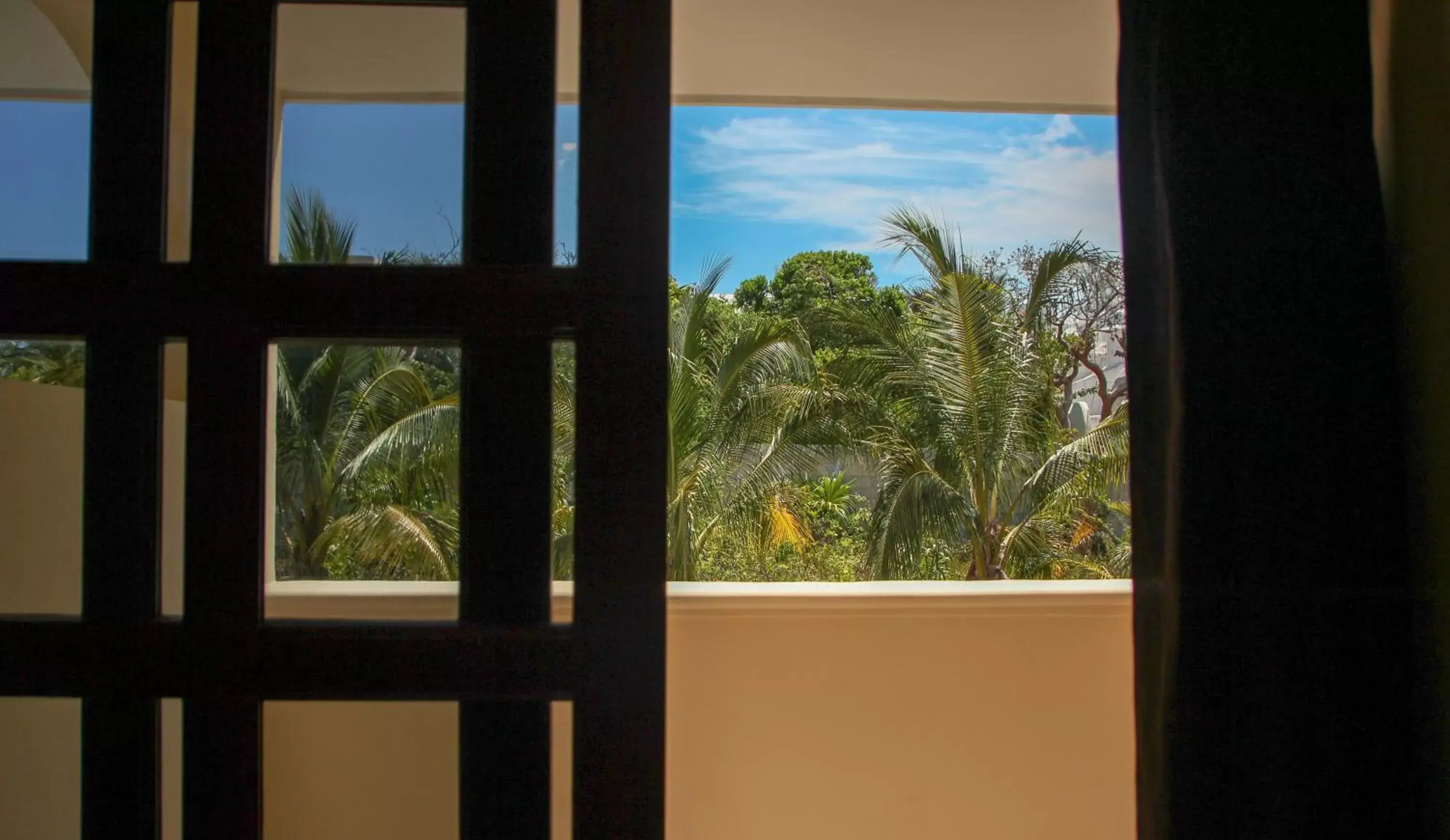 View (from property/room) in Villas Coco Resort - All Suites