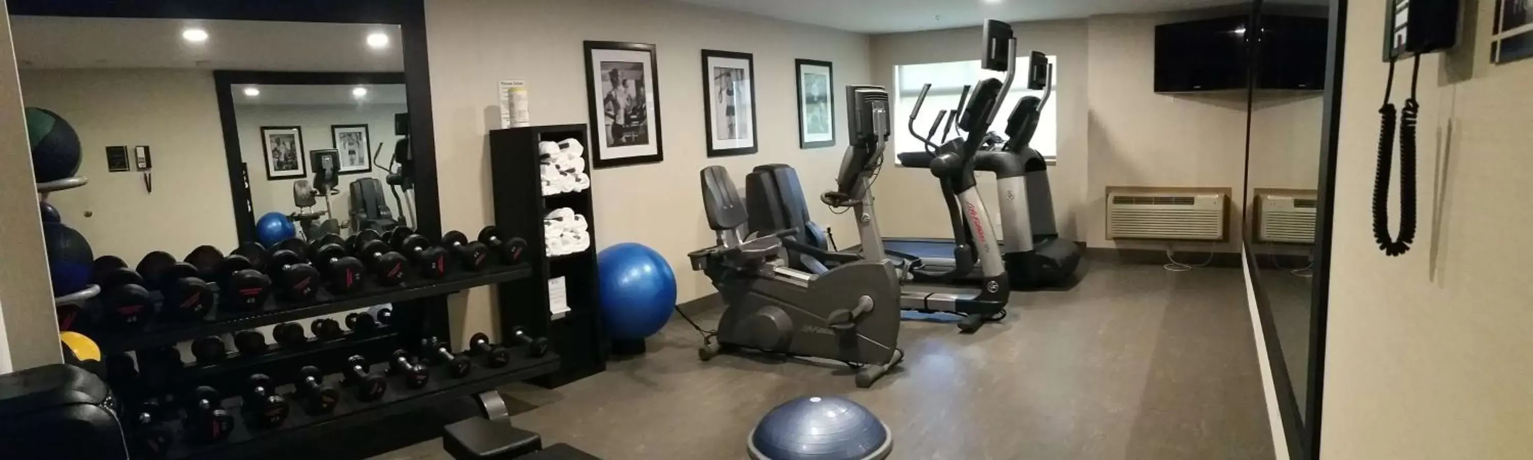 Fitness centre/facilities, Fitness Center/Facilities in Best Western PLUS Langley Inn