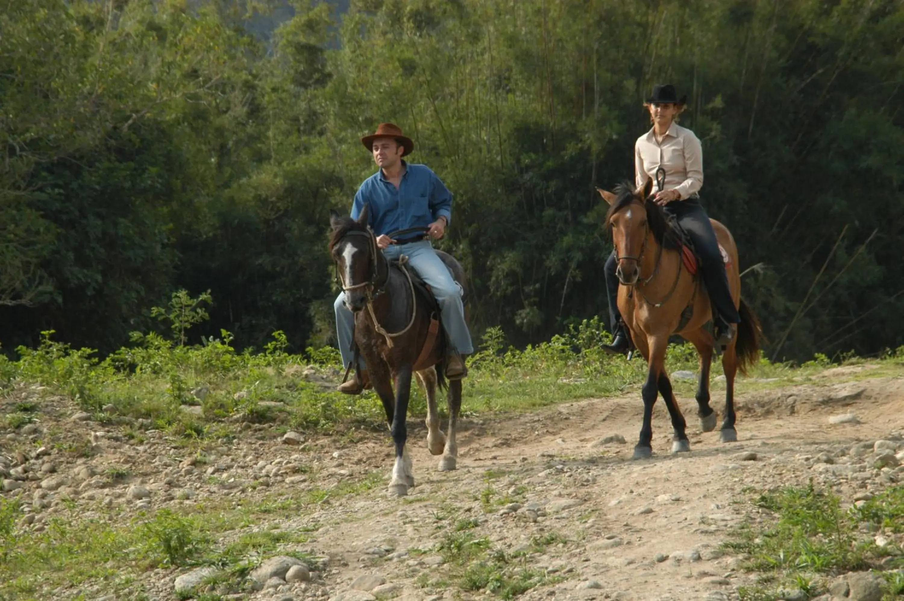 Horse-riding, Horseback Riding in Hotel Portobello Resort & Safari