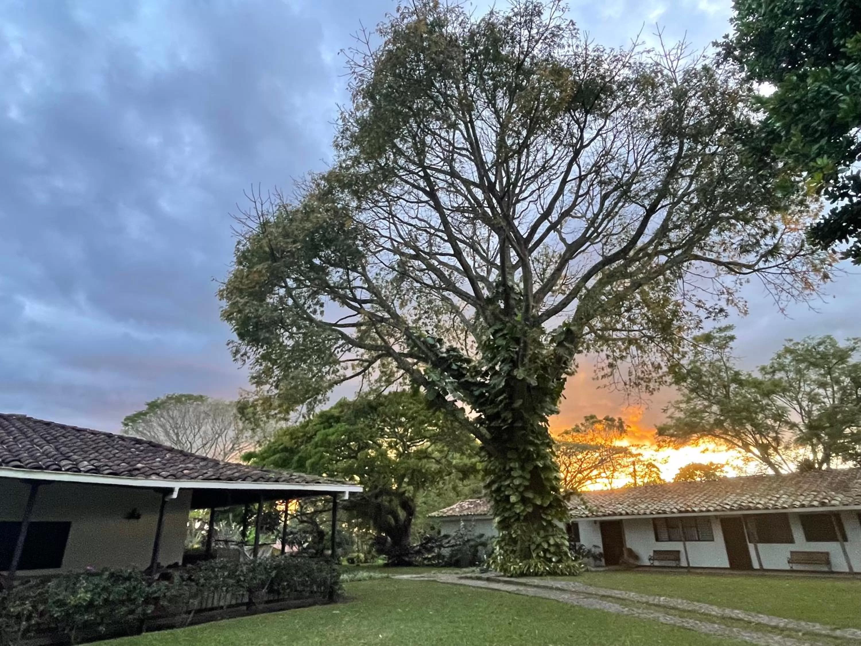 Property building in MuchoSur Quimbaya