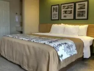 King Room - Non Smoking in Sleep Inn & Suites Kingsport TriCities Airport