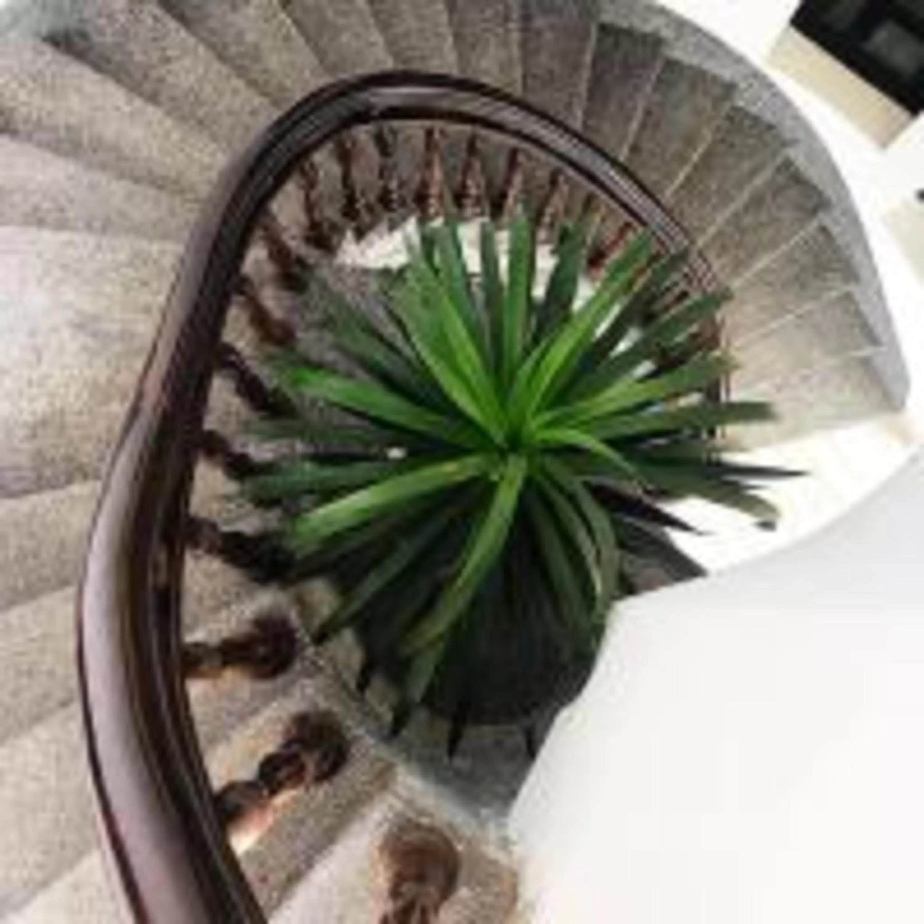 Property building in Kim Ngân Hotel Buôn Ma Thuột