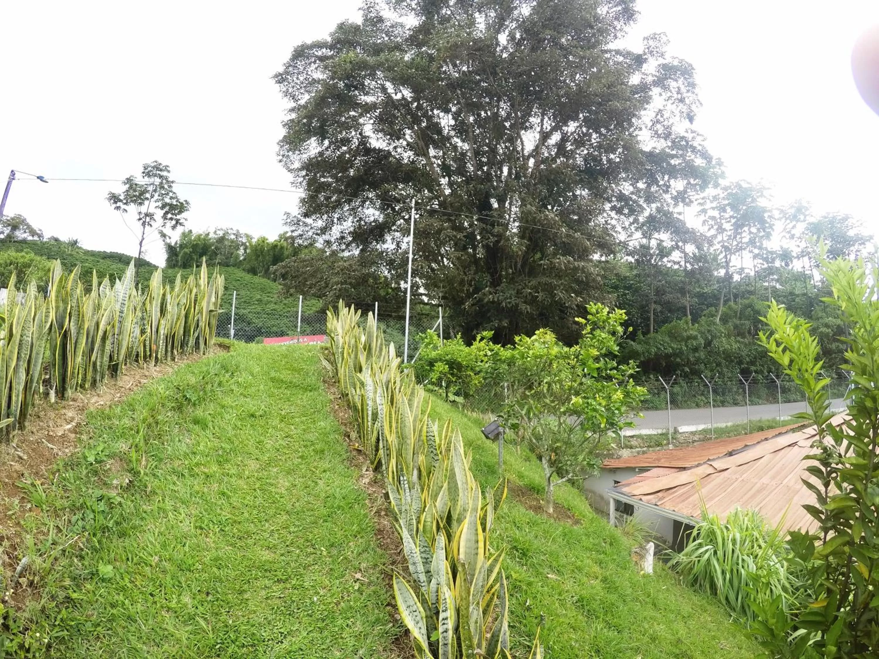 Garden in Sky Club Eco Hotel