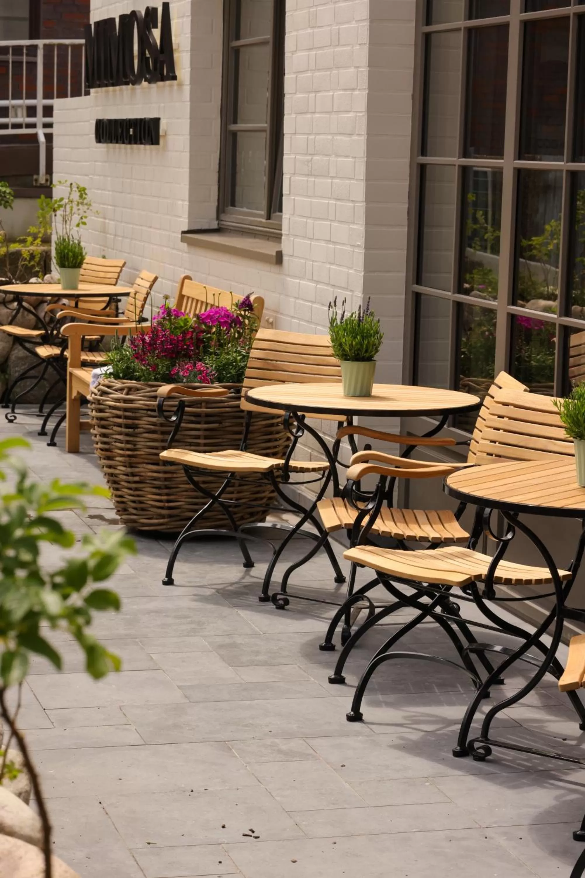 Balcony/Terrace in Mimosa Hotel