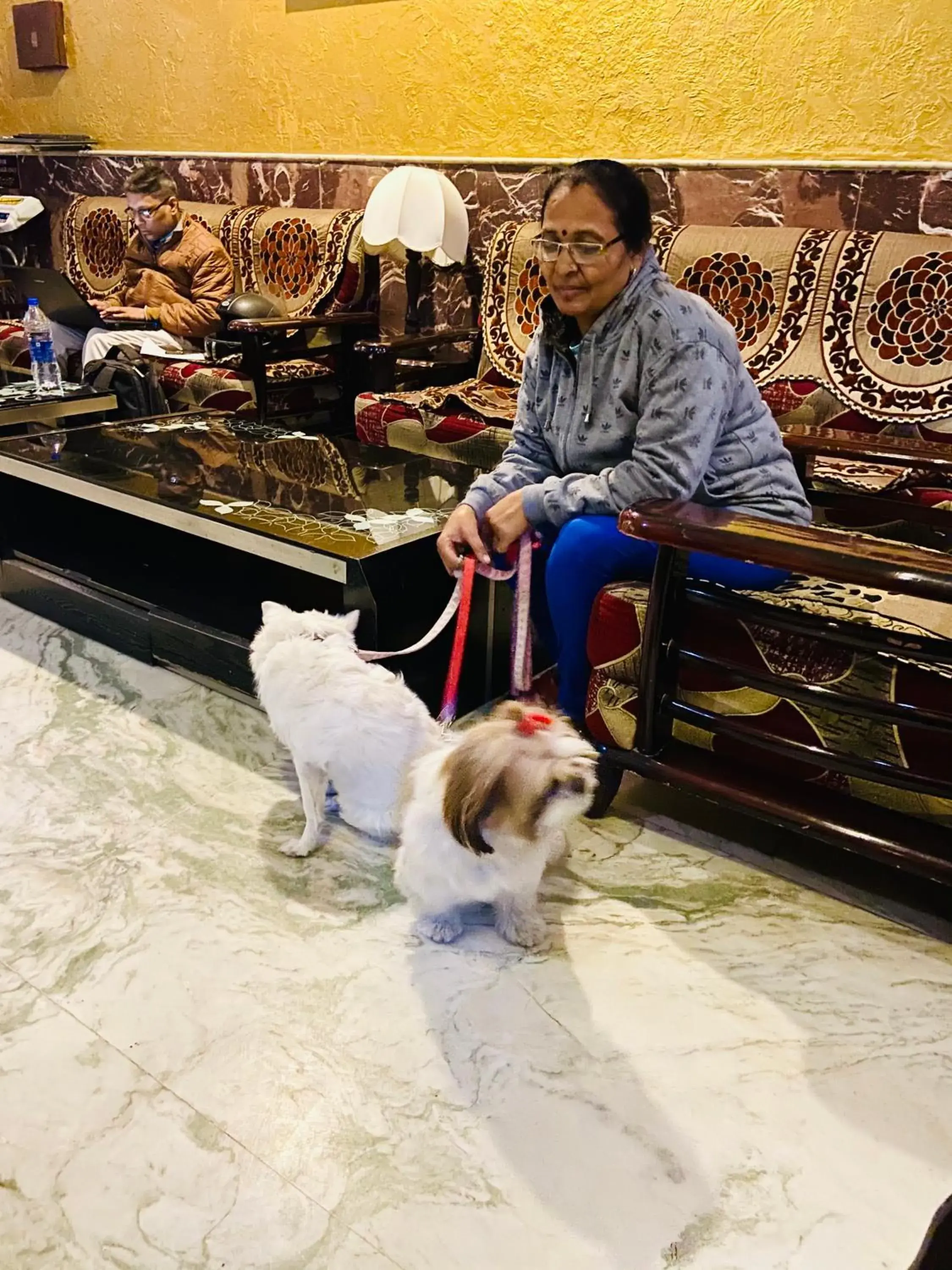 Pets in Hotel Meenakshi Udaipur