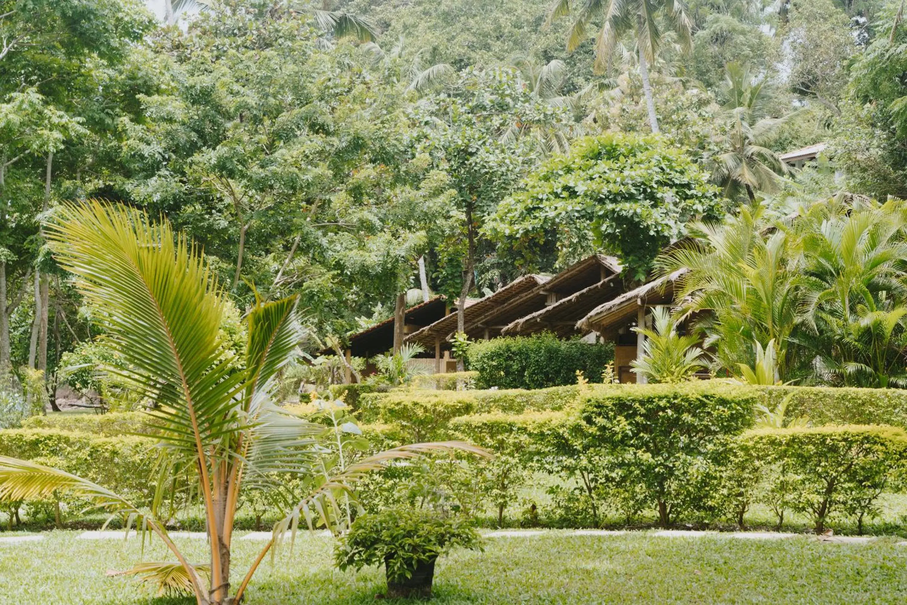 Garden in Talalla Retreat