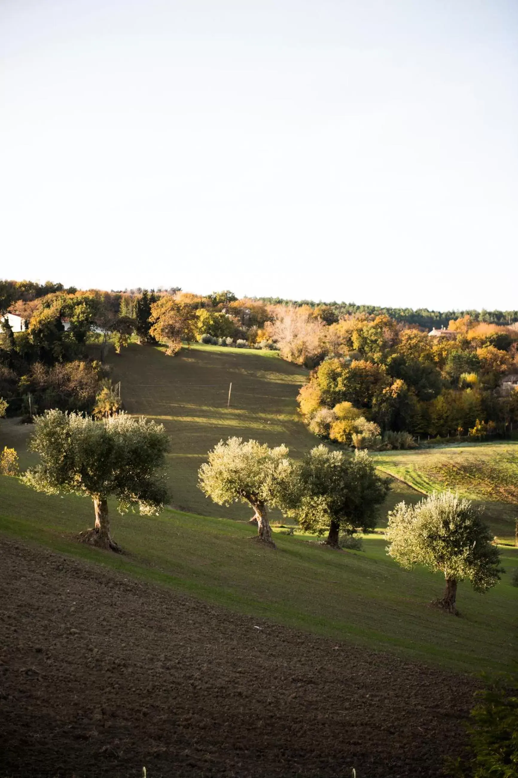 Day in Amor di Lavanda