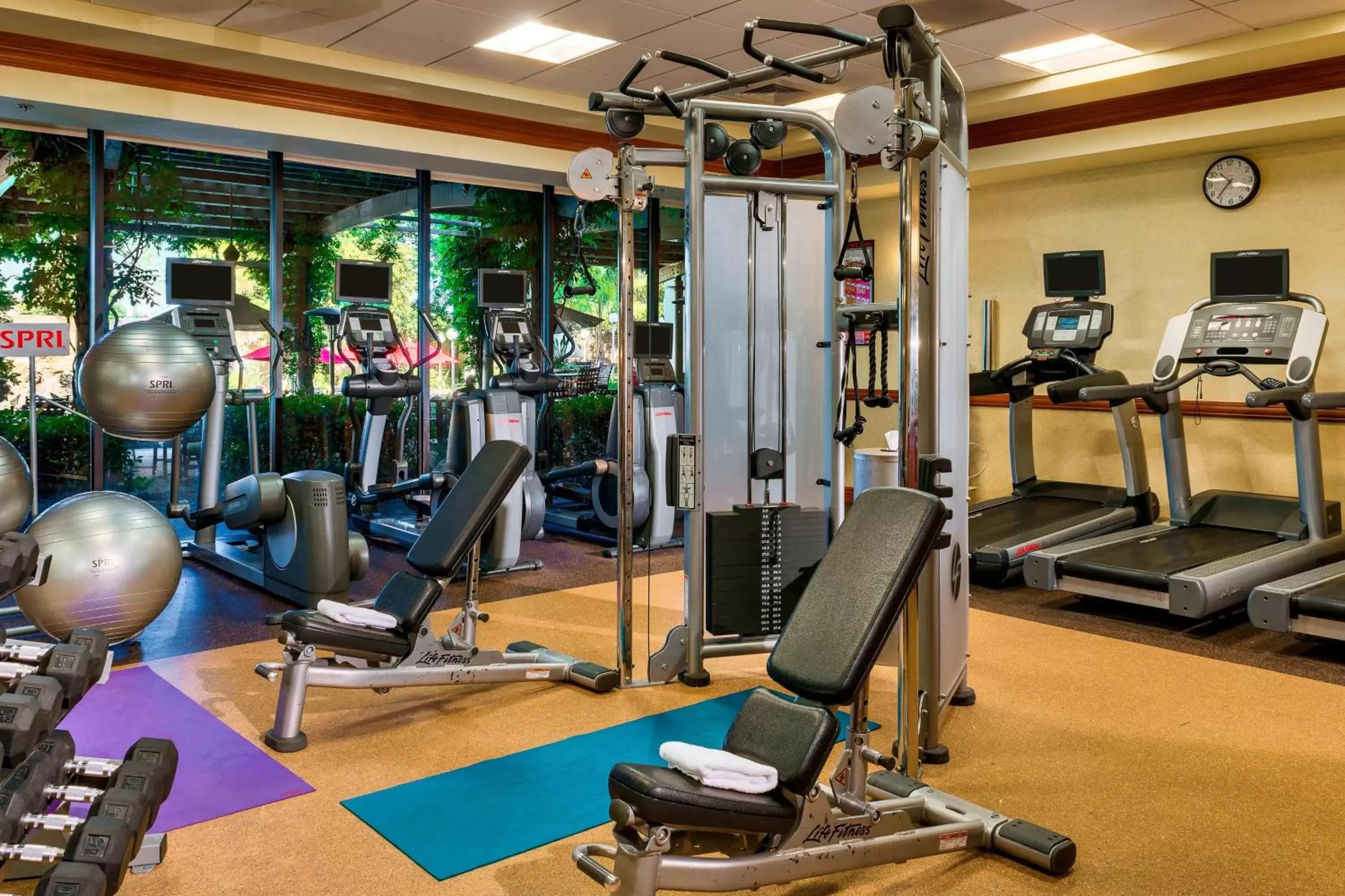 Fitness centre/facilities, Fitness Center/Facilities in Sacramento Marriott Rancho Cordova