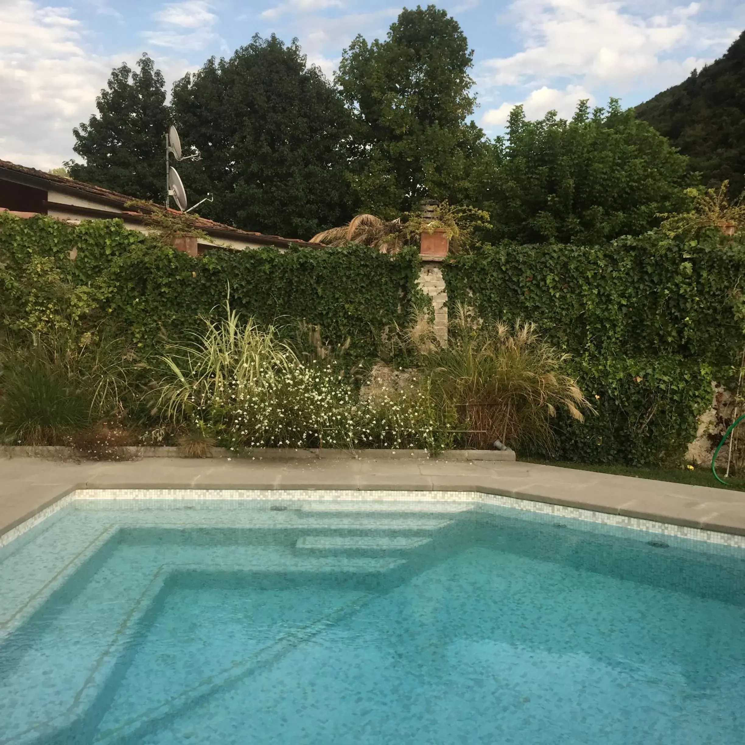 Garden, Swimming Pool in B&B Pieve Degli Artisti