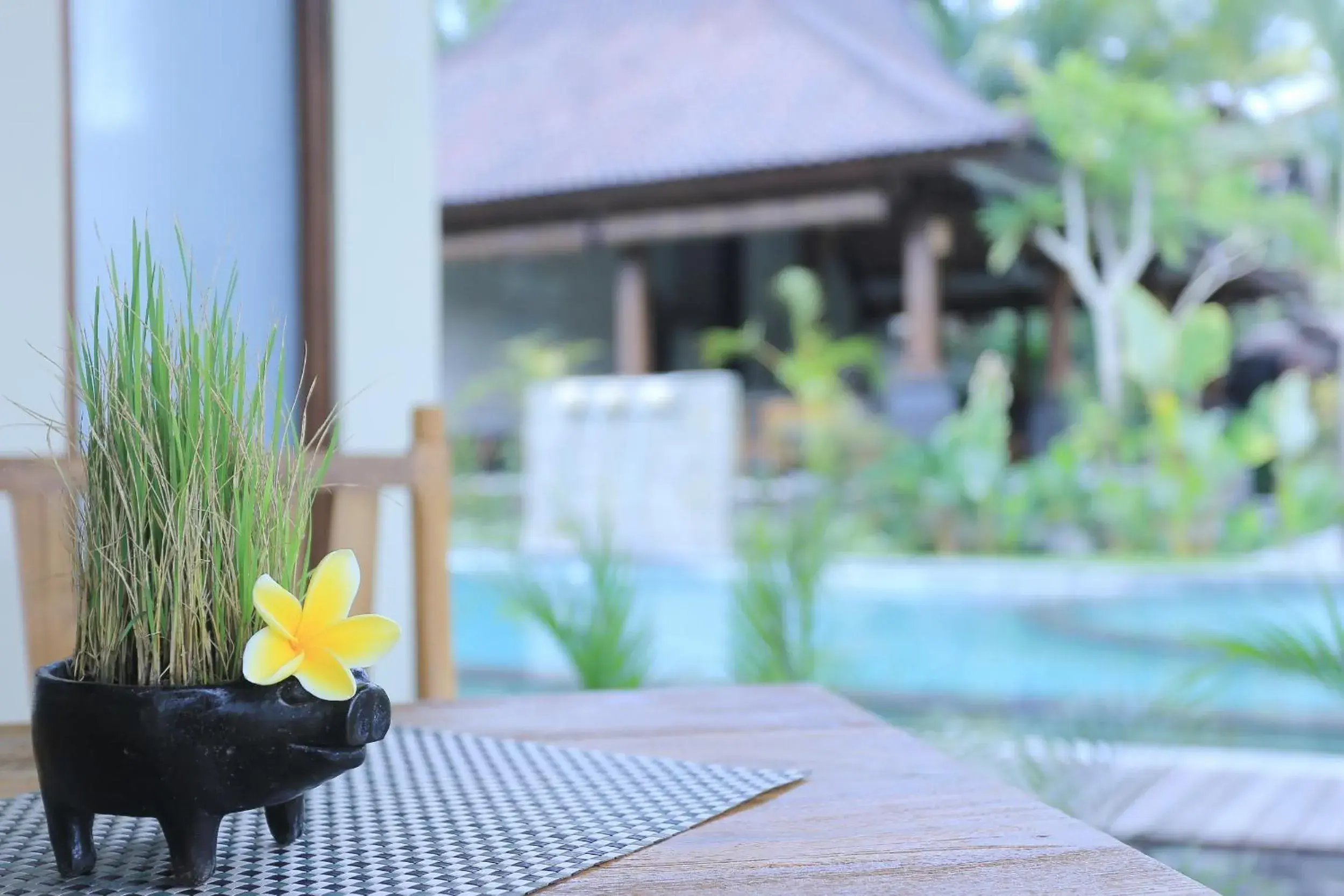 Spring, Swimming Pool in Masia Villa