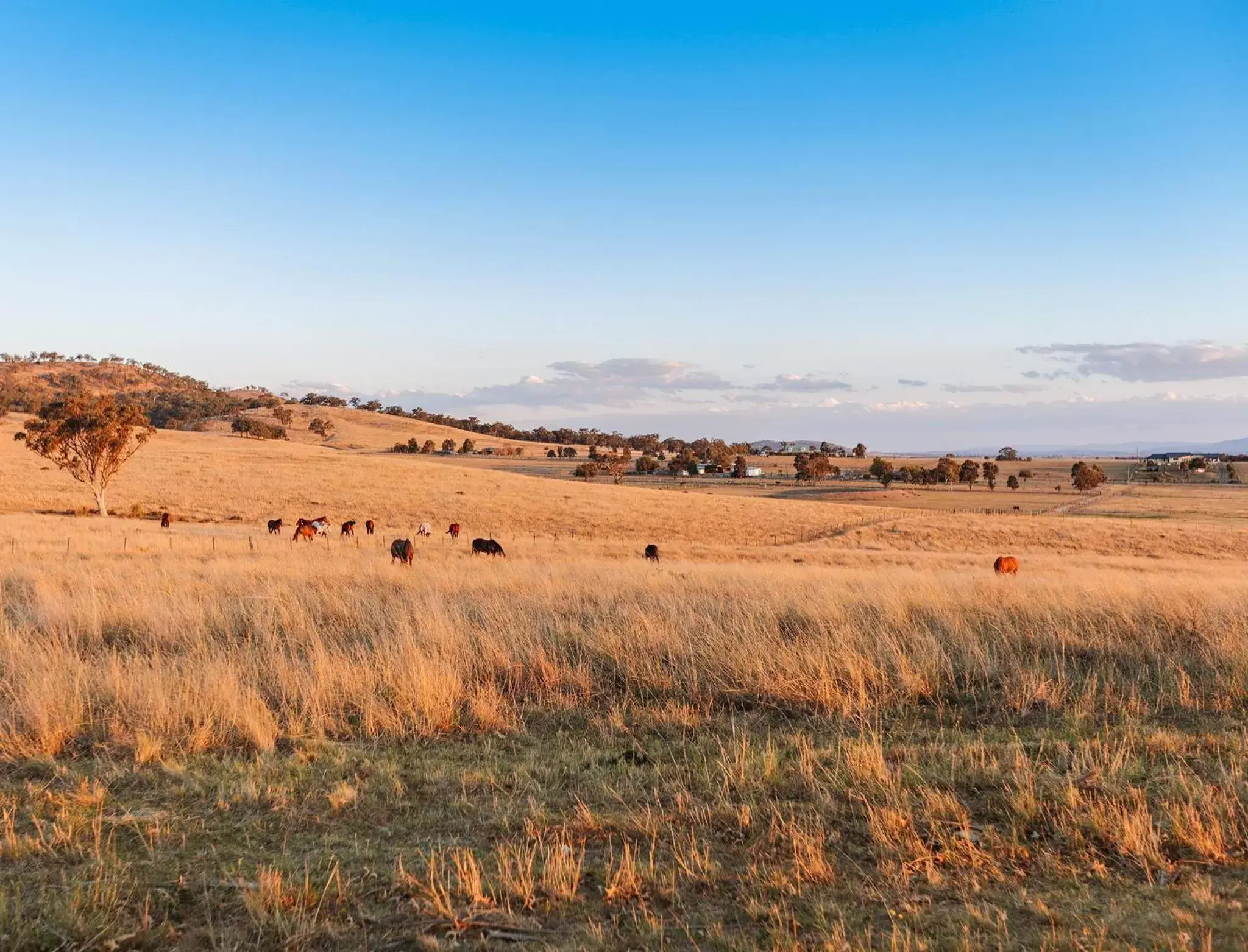 Landmark view in Strathearn Park Lodge