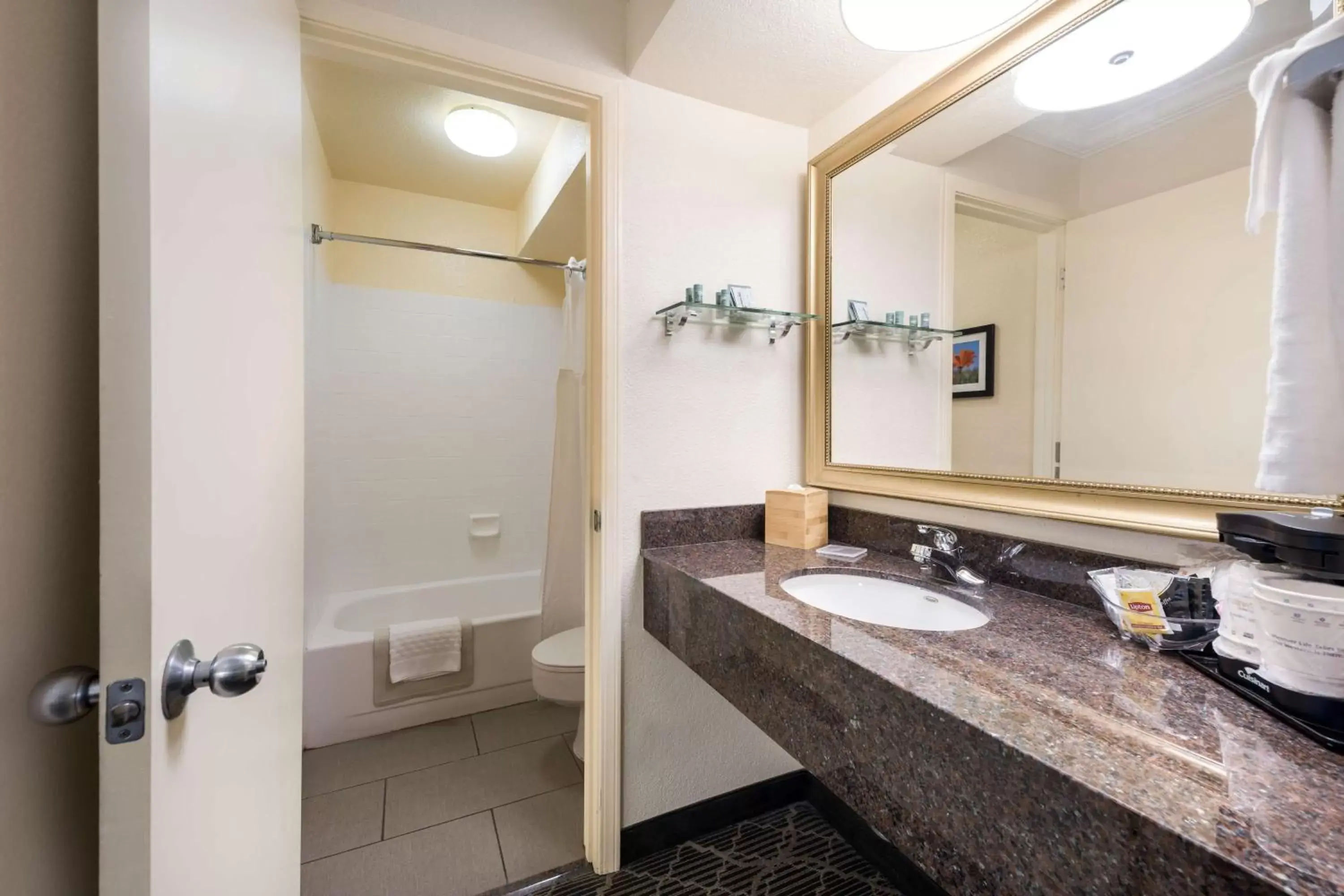 Bathroom in Best Western Danville Sycamore Inn